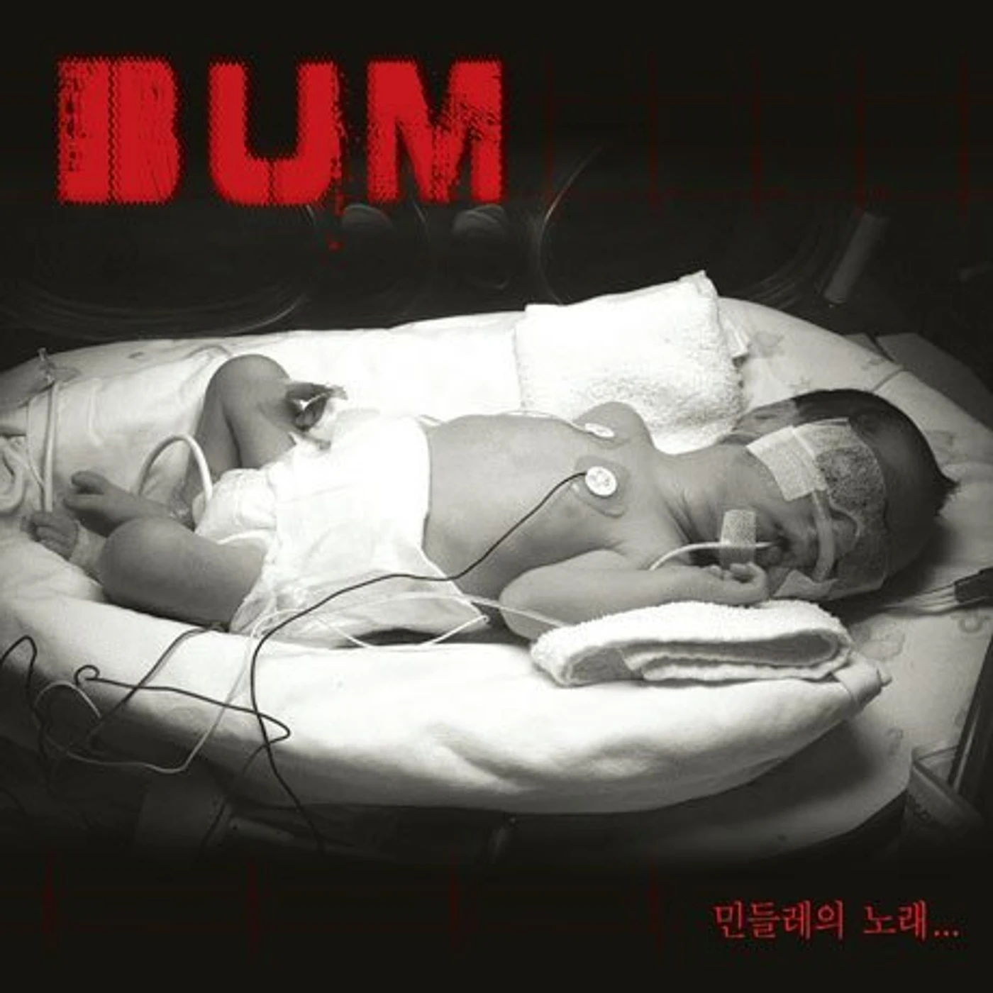 Bum DANDELION'S SONG CD