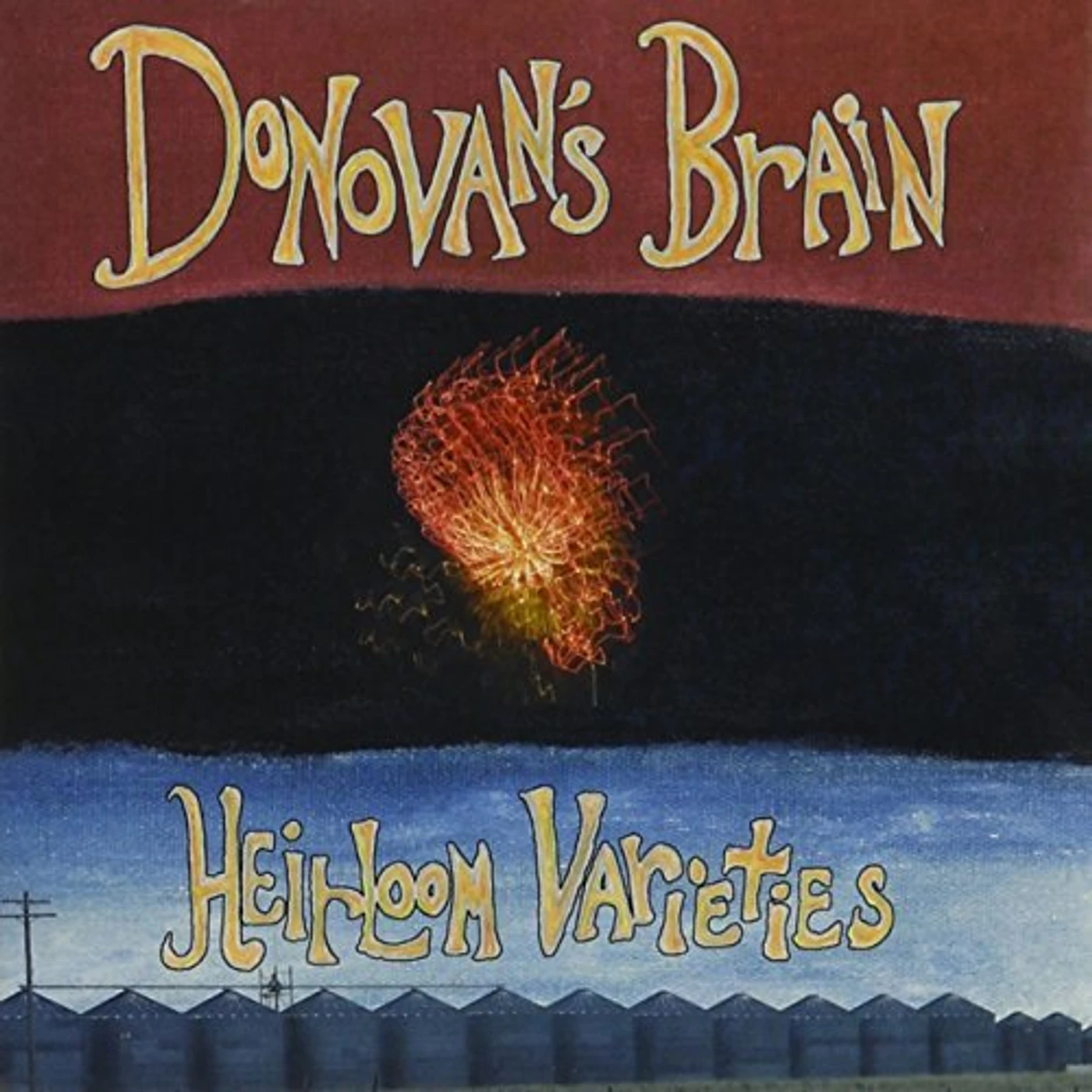Donovan's Brain HEIRLOOM VARIETIES CD