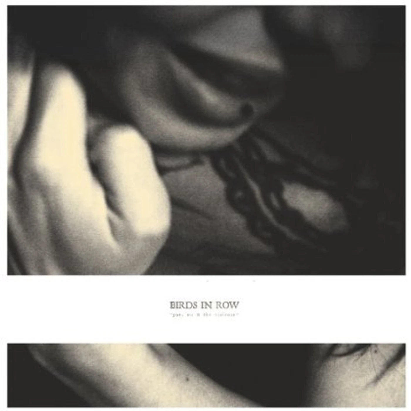 Birds in Row YOU ME & THE VIOLENCE CD