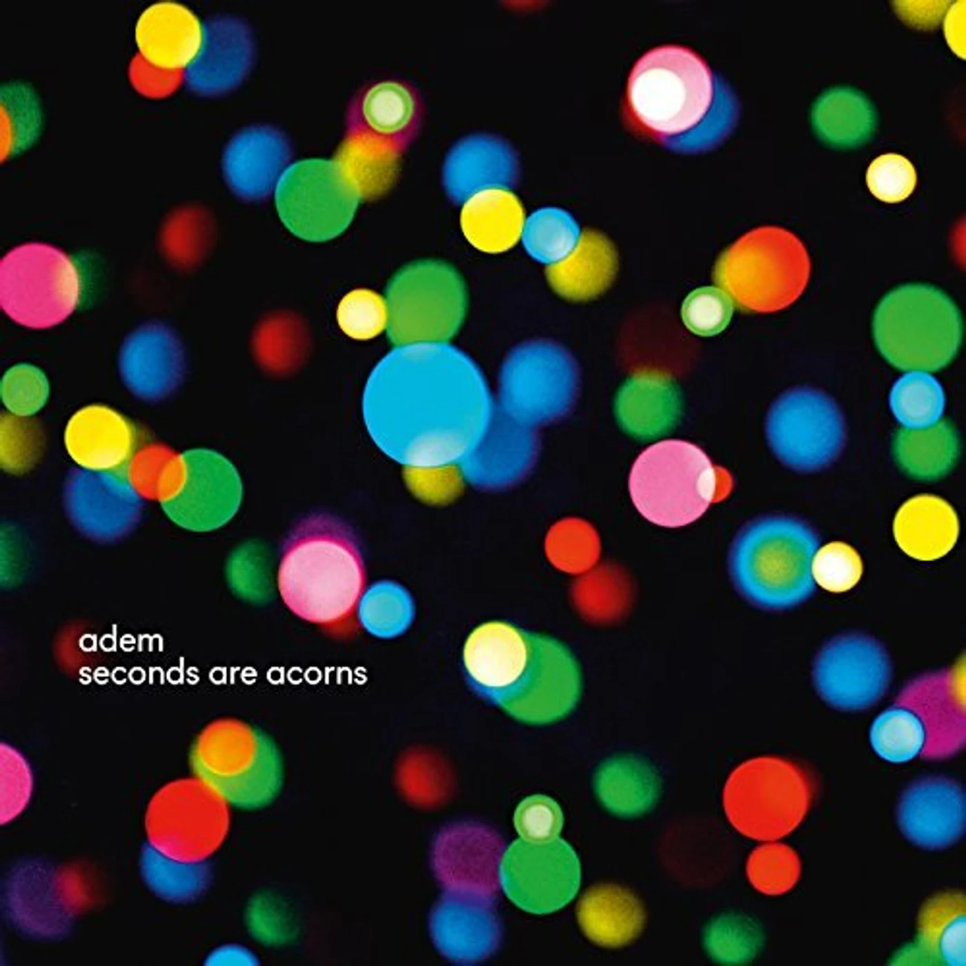 Adem seconds are acorns Vinyl Record