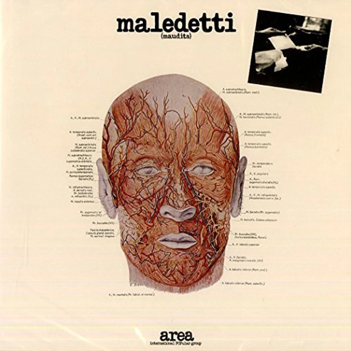 Area MALEDETTI CD
