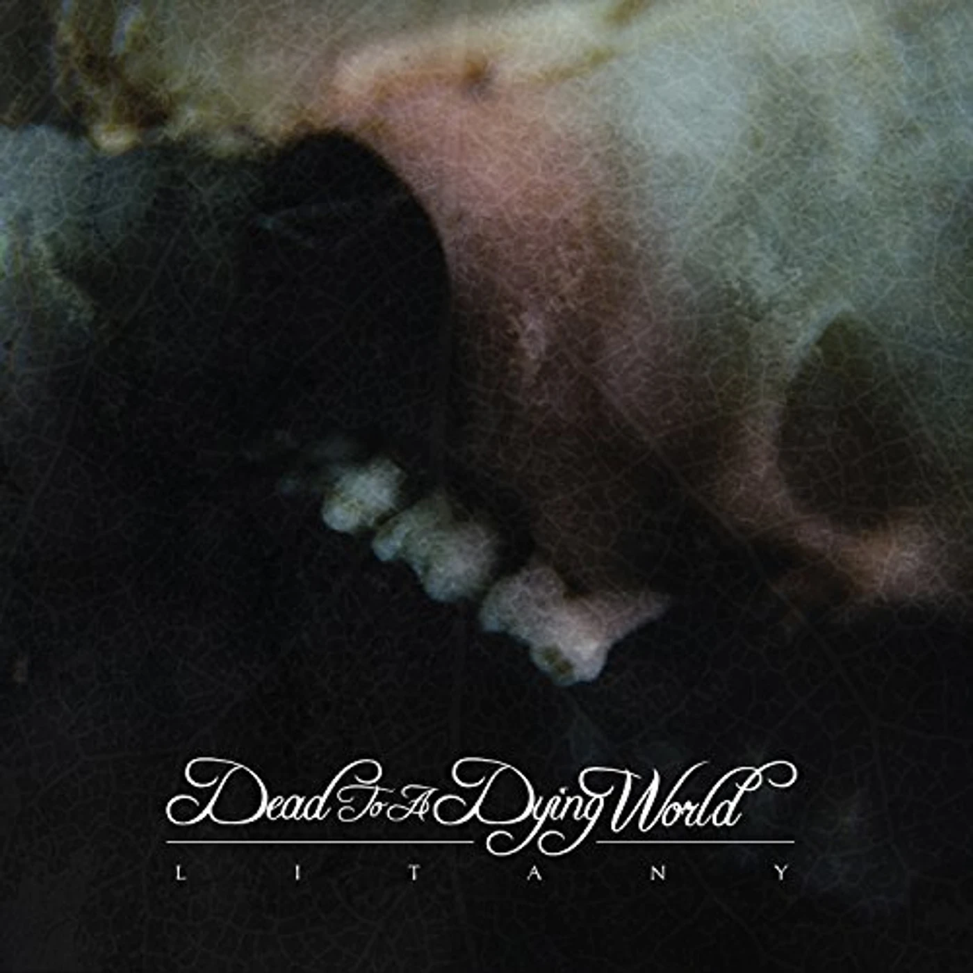 Dead To A Dying World LITANY CD