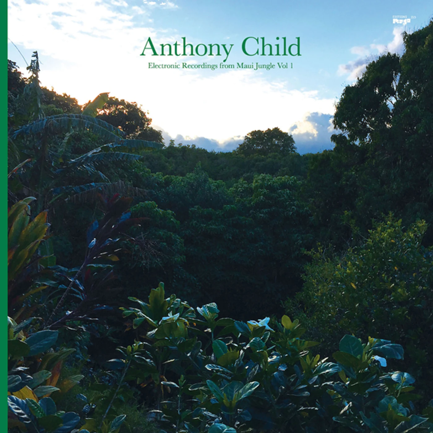 Anthony Child ELECTRONIC RECORDINGS FROM MAUI JUNGLE 1 Vinyl Record