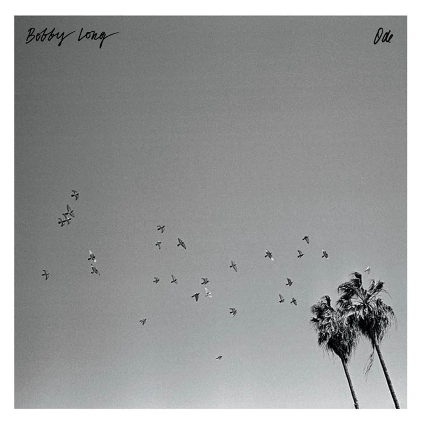 Bobby Long ODE Vinyl Record