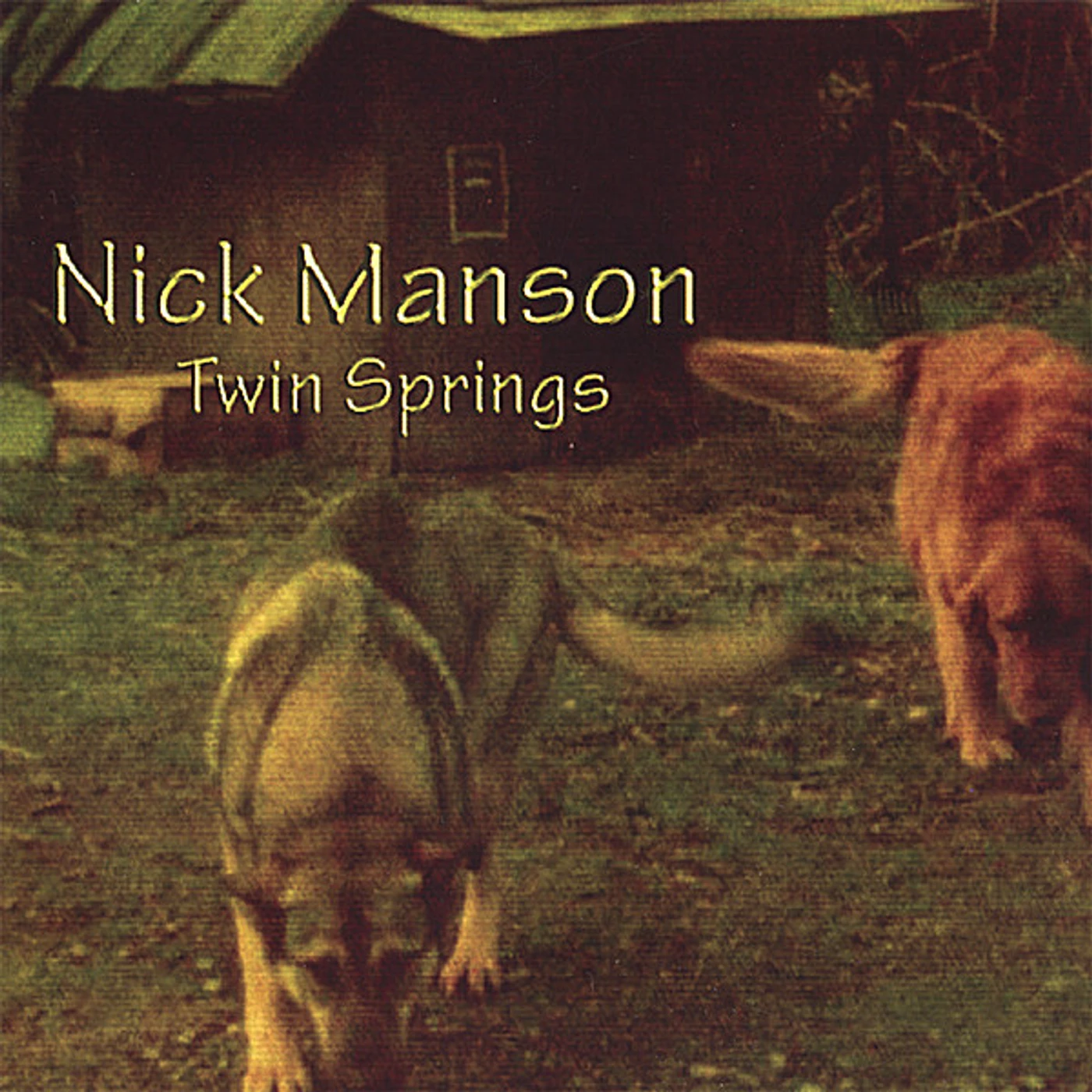 Nick Manson TWIN SPRINGS CD