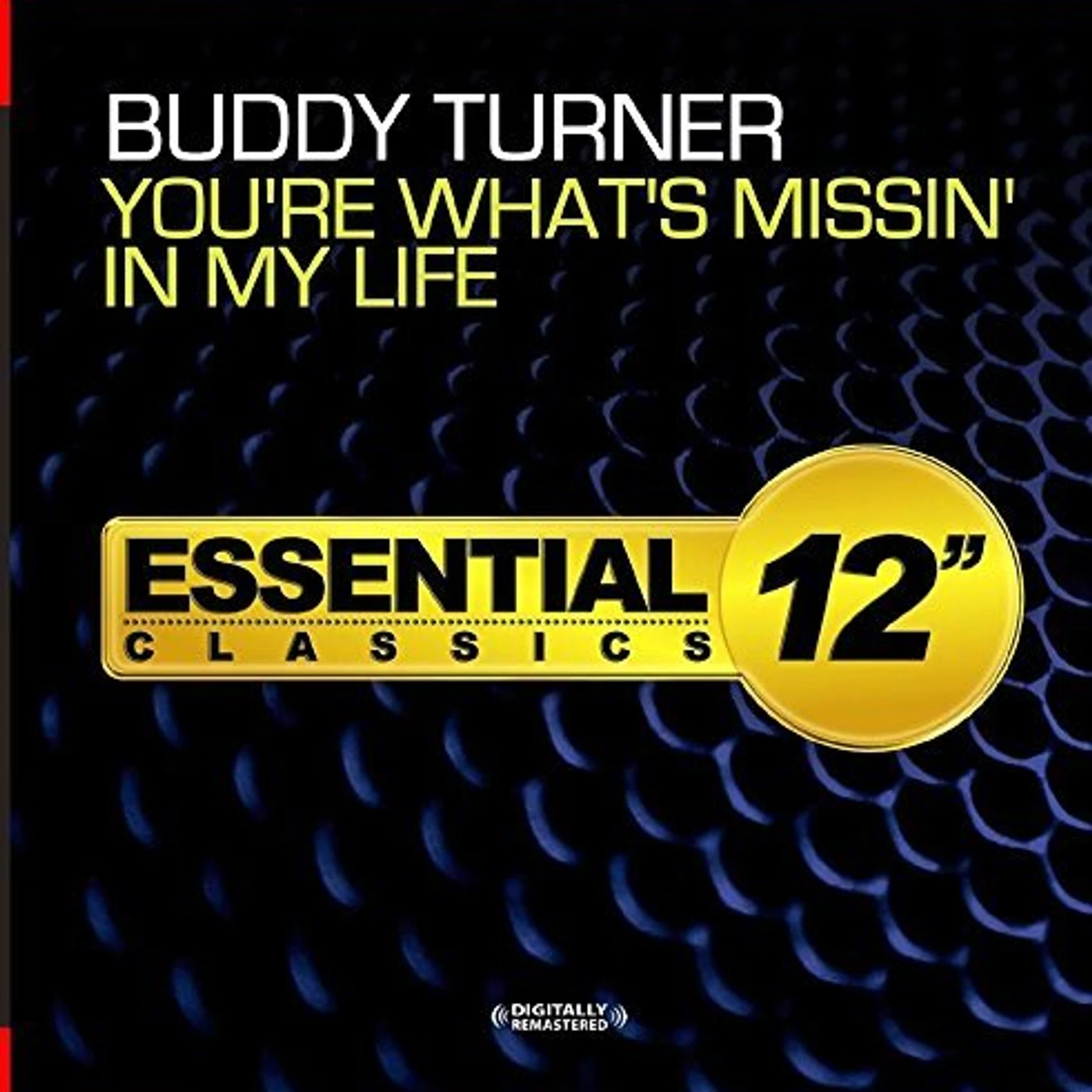 Buddy Turner YOU'RE WHAT'S MISSIN' IN MY LIFE CD