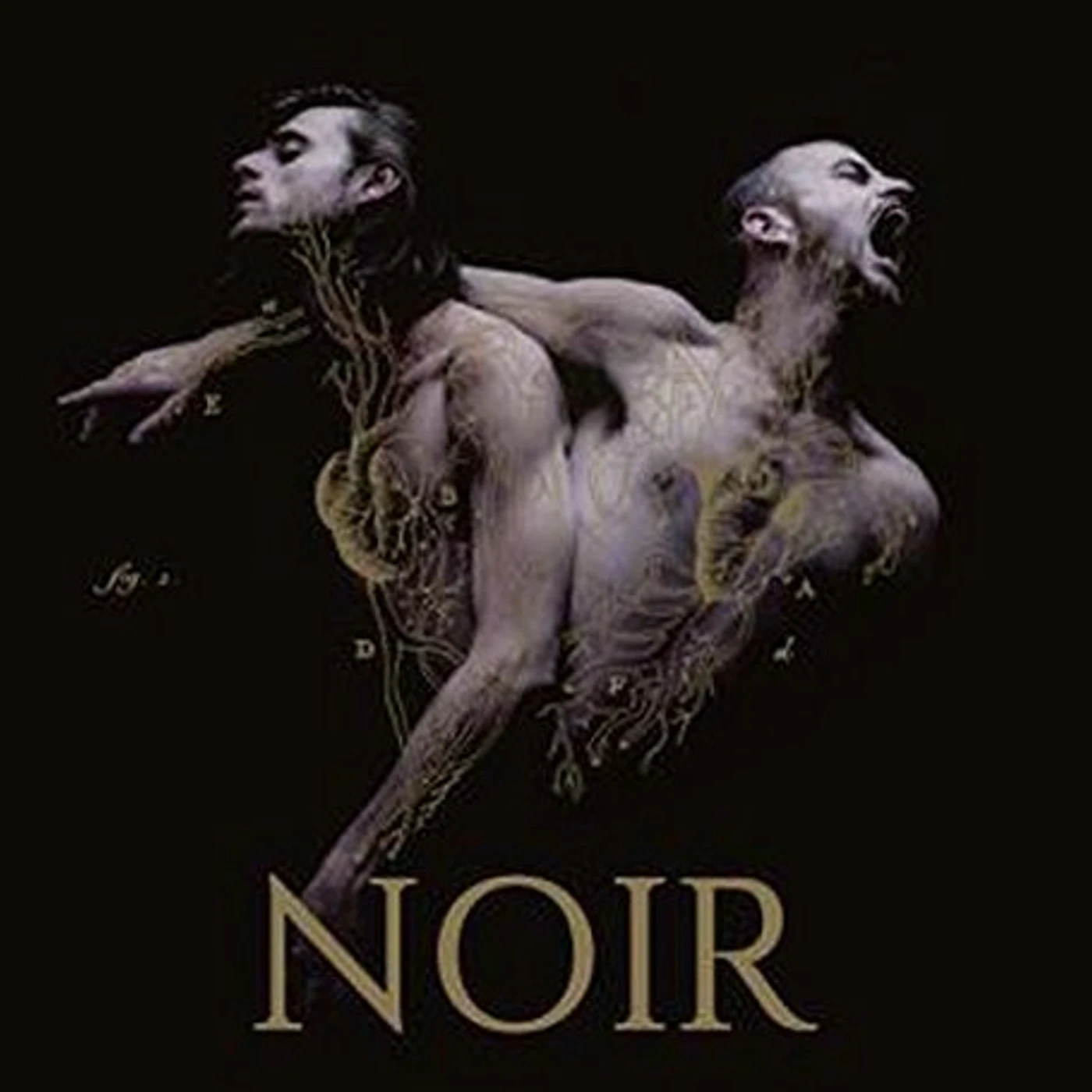 Heymoonshaker NOIR CD