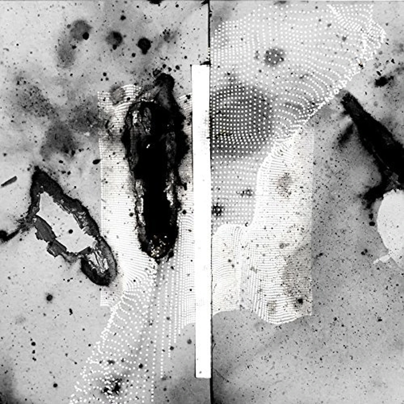 Certain Creatures Vipassana Vinyl Record