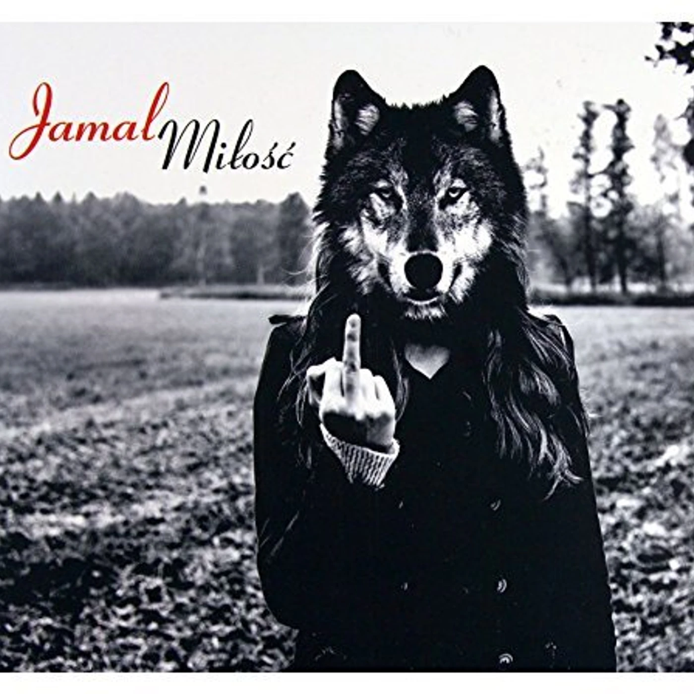 Jamal MILOSC CD