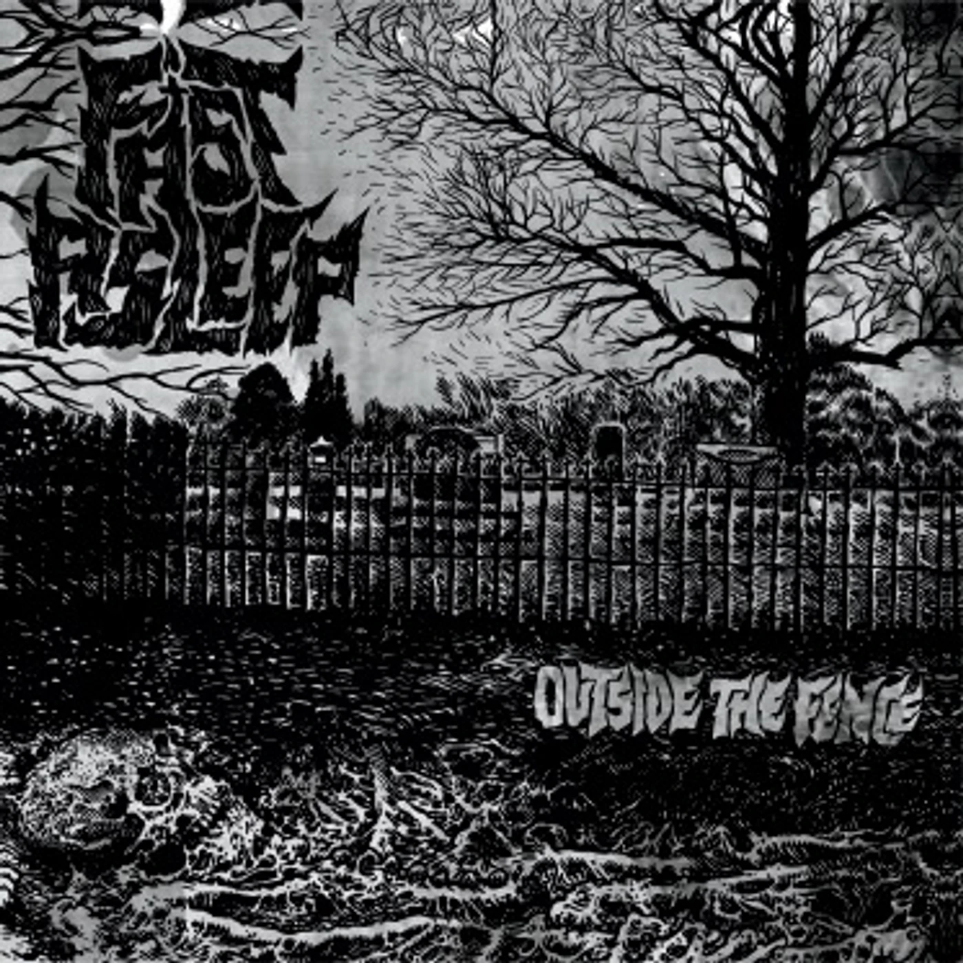 Fast Asleep Outside the Fence Vinyl Record