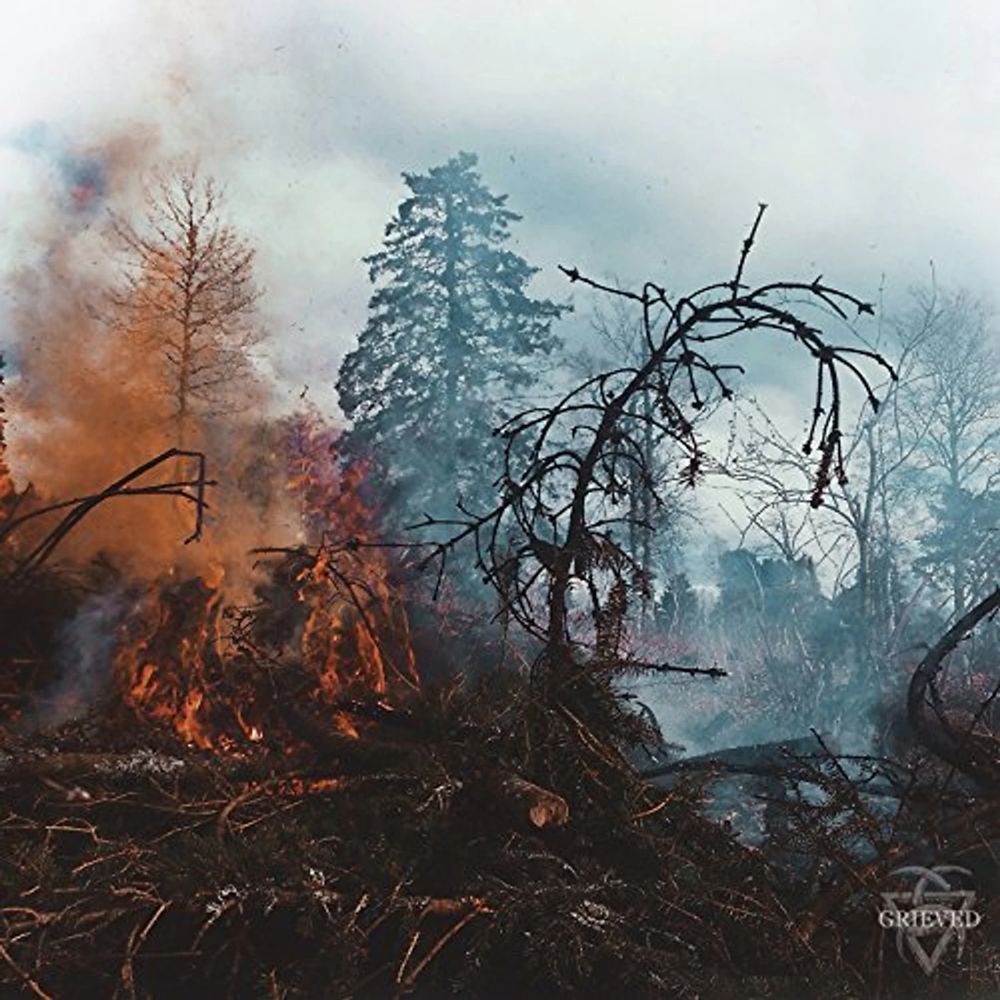 GRIEVED (DL CARD) Vinyl Record