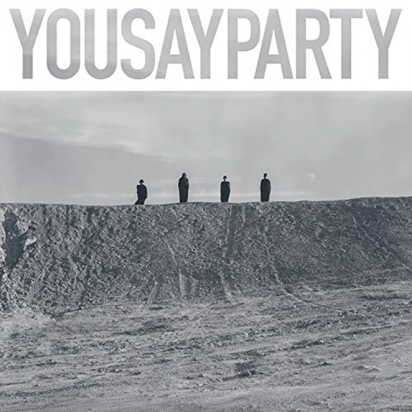 You Say Party Vinyl Record
