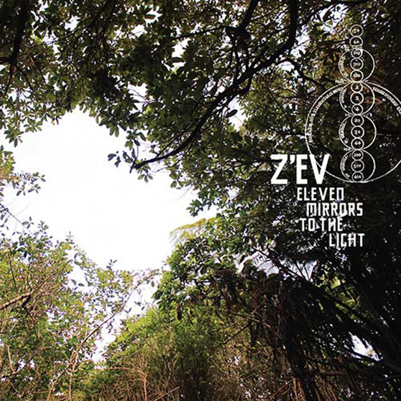 Zev ELEVEN MIRRORS TO THE LIGHT CD