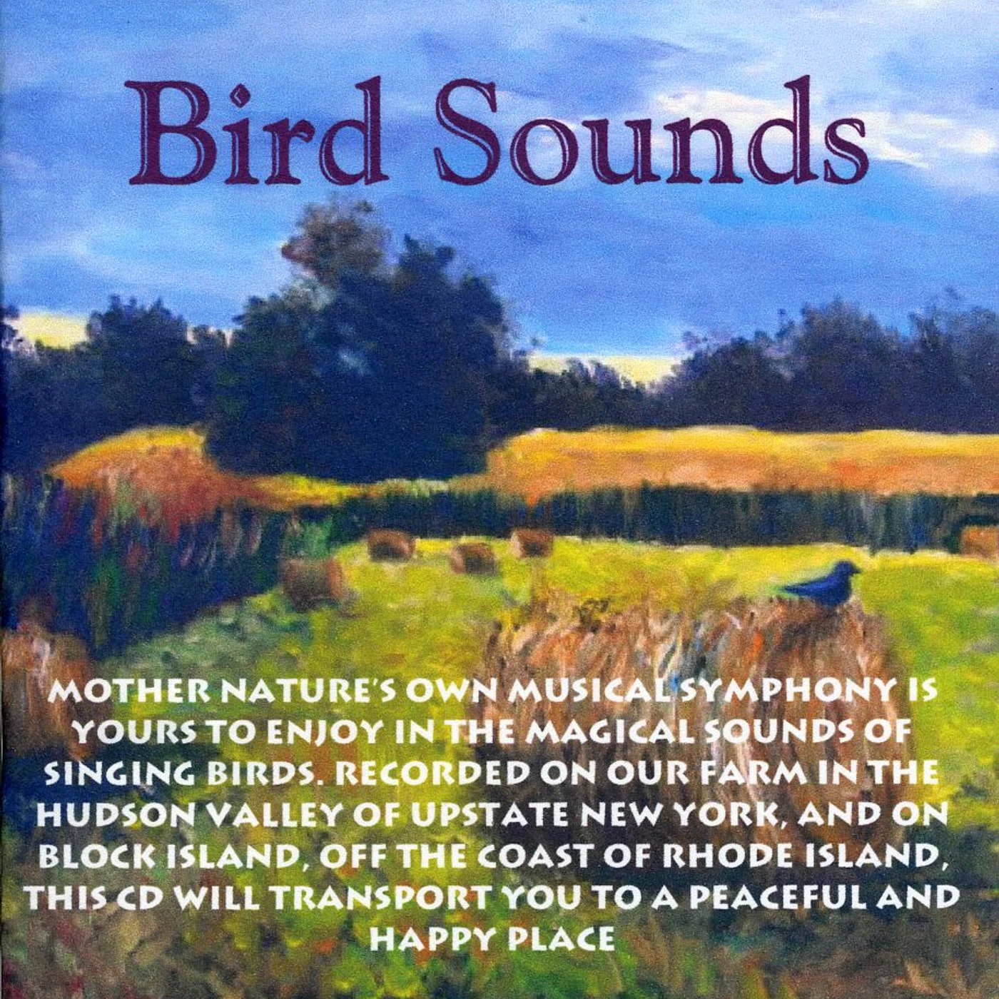 Perry Rotwein BIRD SOUNDS CD