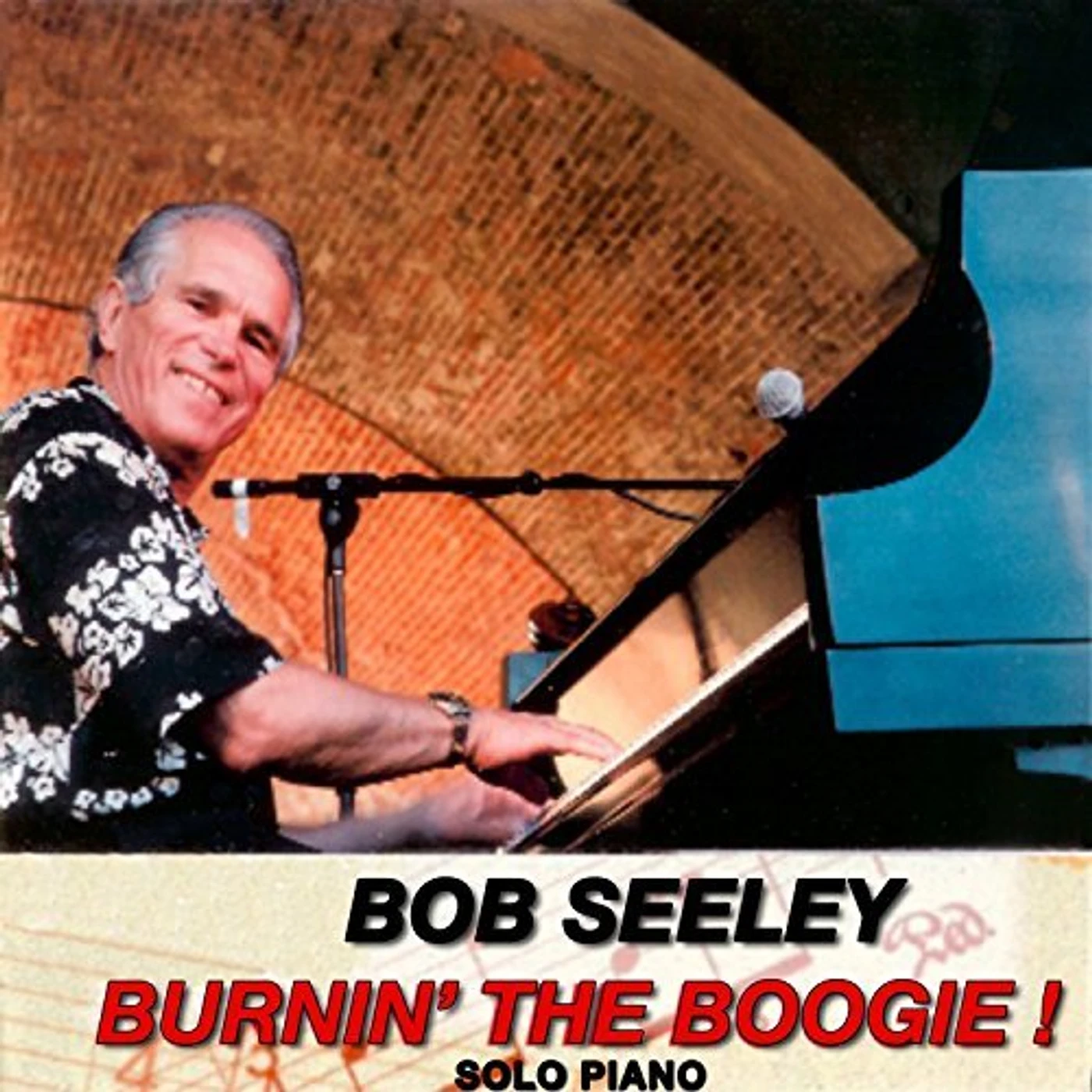 Bob Seeley BURNIN THE BOOGIE CD