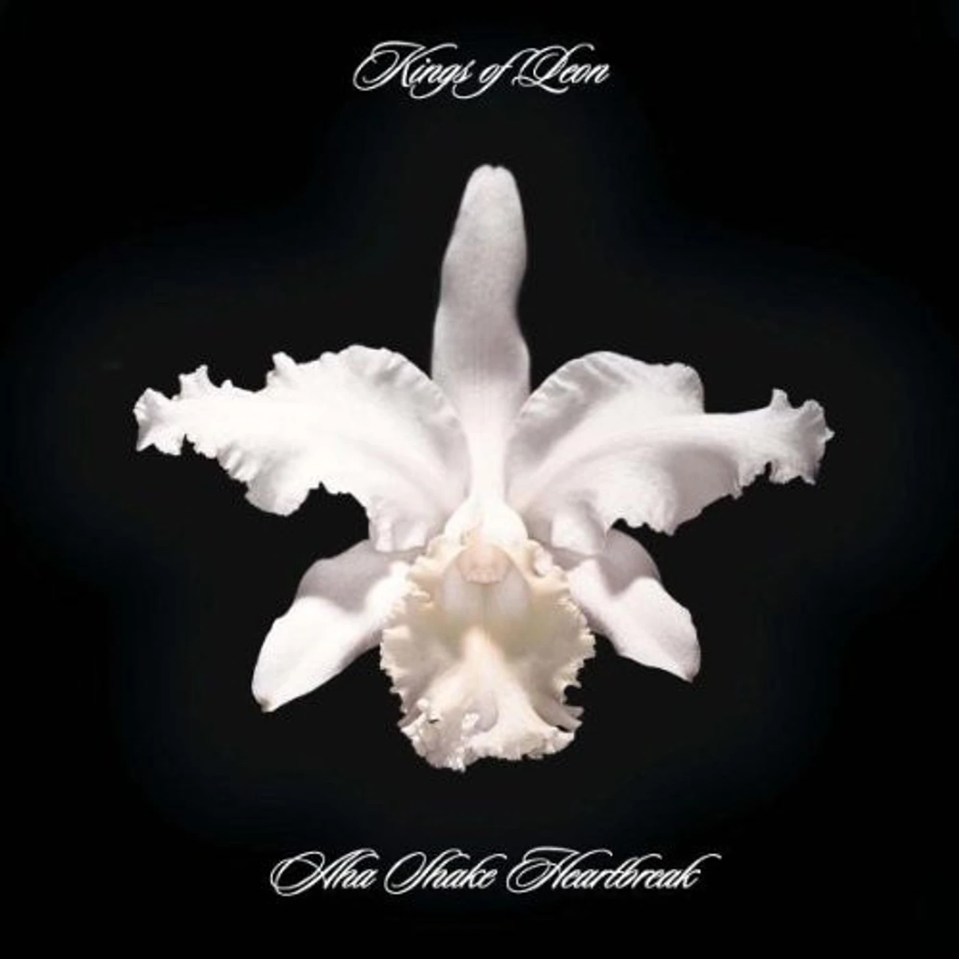 Kings of Leon Aha Shake Heartbreak Vinyl Record