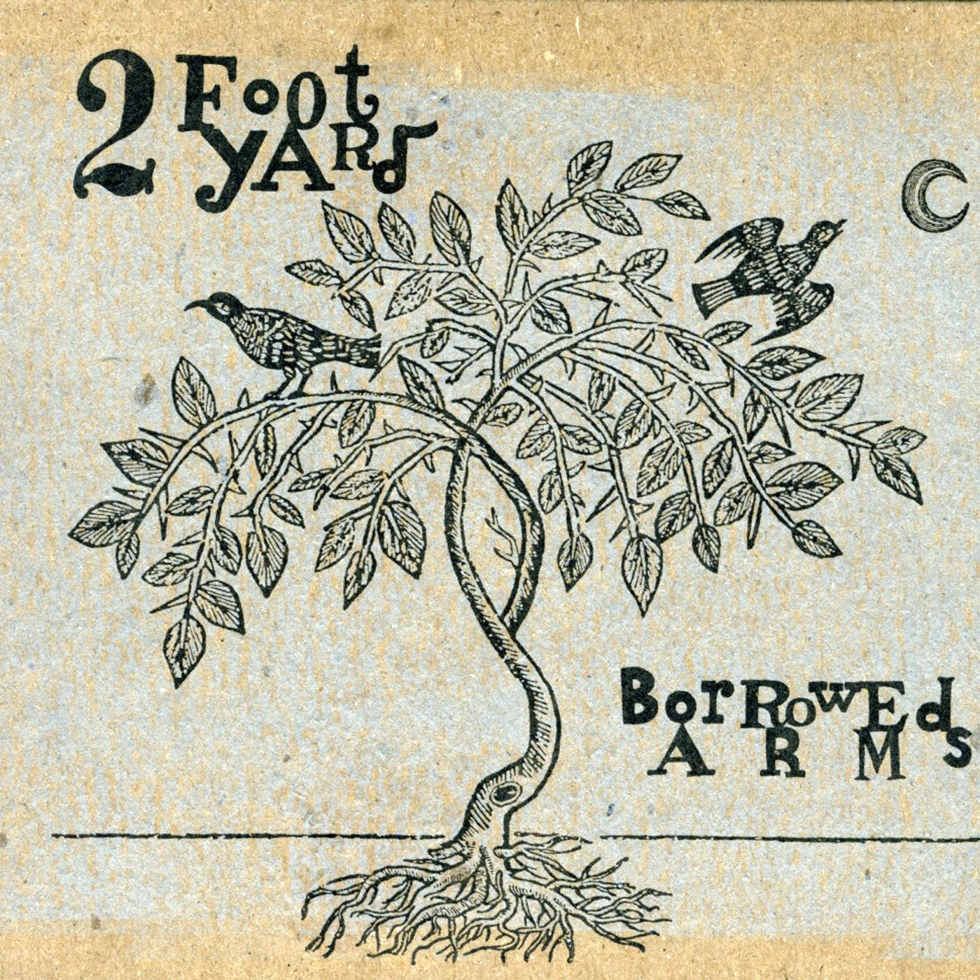 2 Foot Yard BORROWED ARMS CD