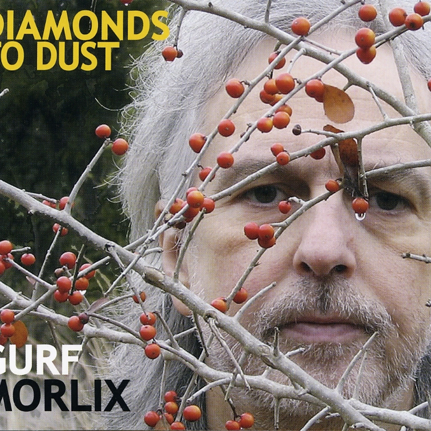 Gurf Morlix DIAMONDS TO DUST CD