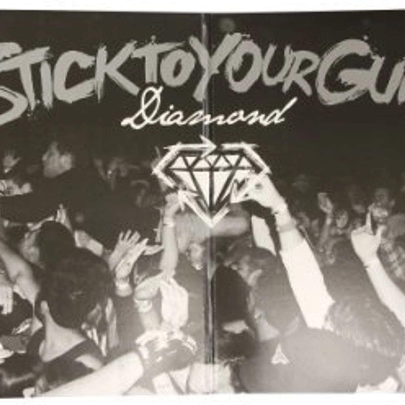 Stick To Your Guns Diamond Vinyl Record