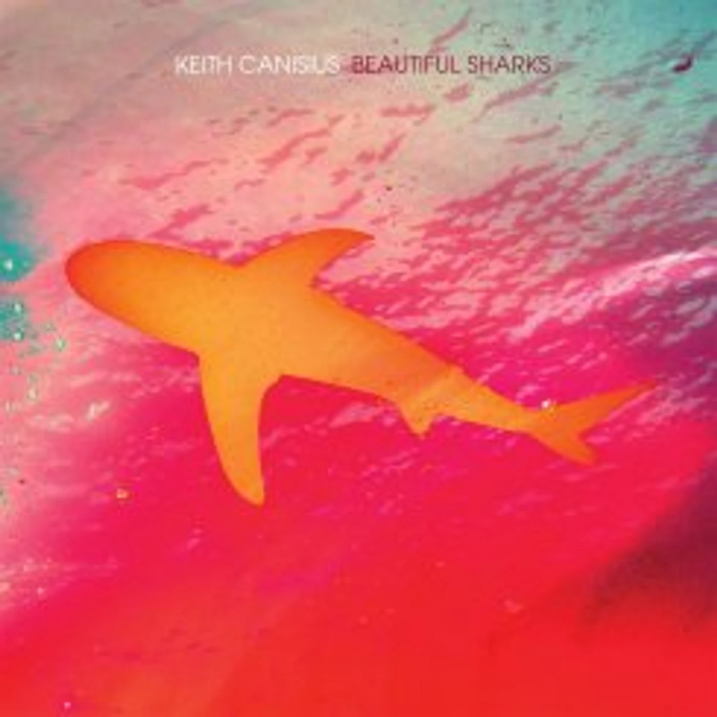 KEITH CANISIUS Beautiful Sharks Vinyl Record