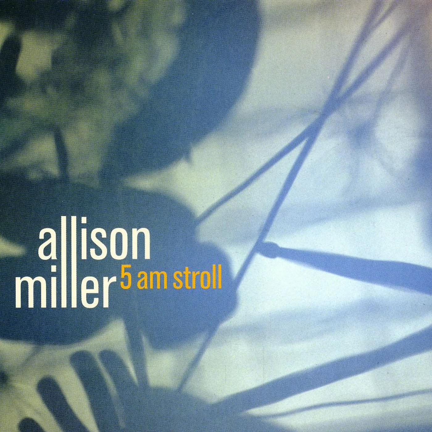 Allison Miller 5AM STROLL CD