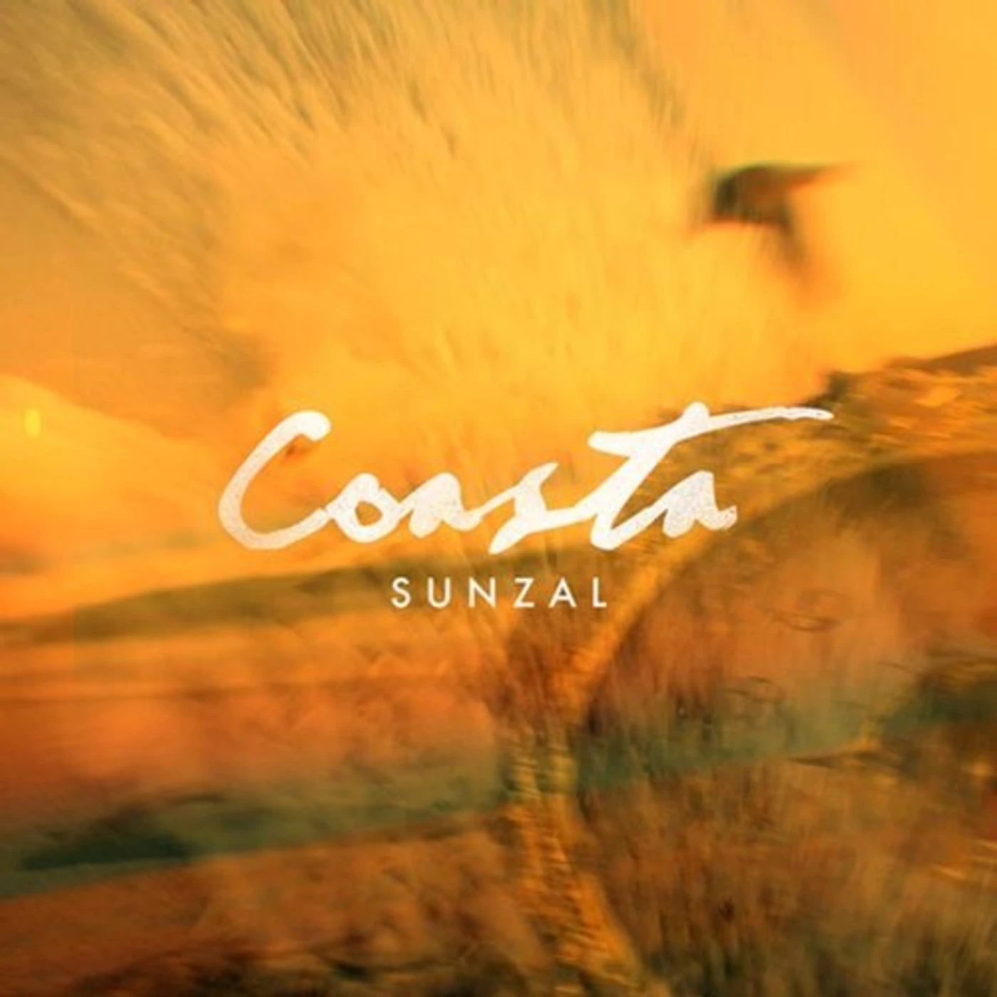 Coasta Sunzal Vinyl Record