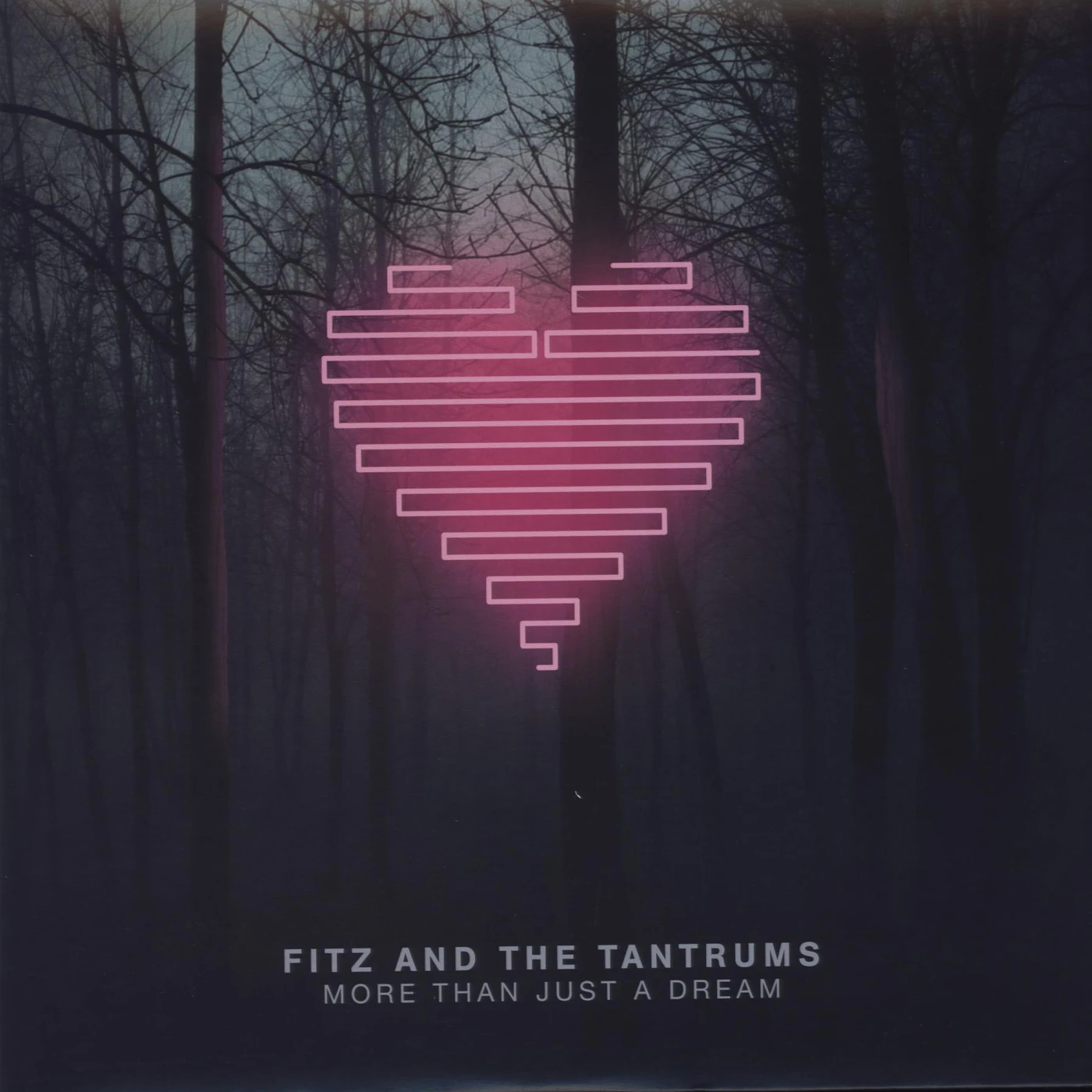 Fitz and The Tantrums More Than Just A Dream Vinyl Record