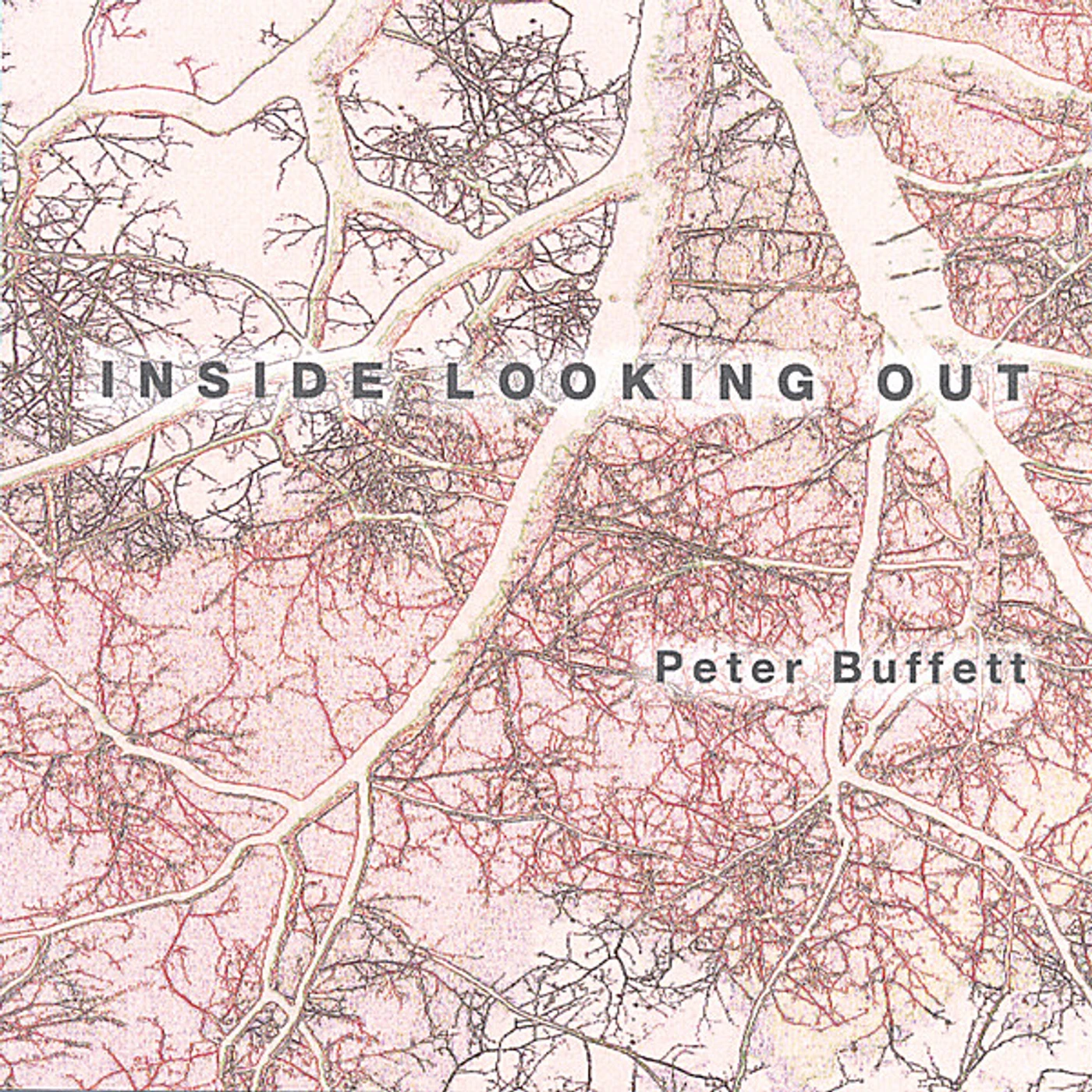 Peter Buffett INSIDE LOOKING OUT CD