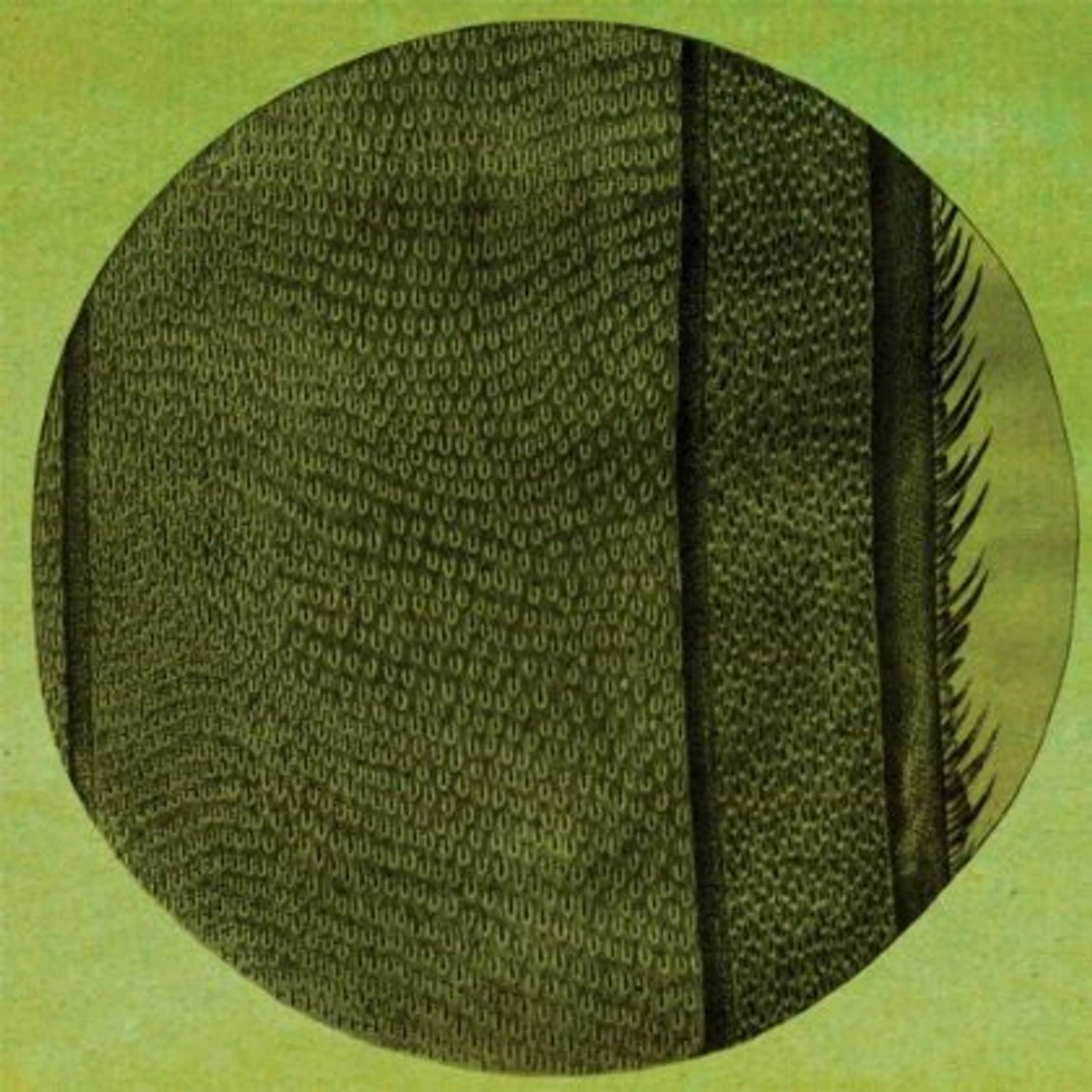 Micah Blue Smaldone RING OF THE RISE Vinyl Record