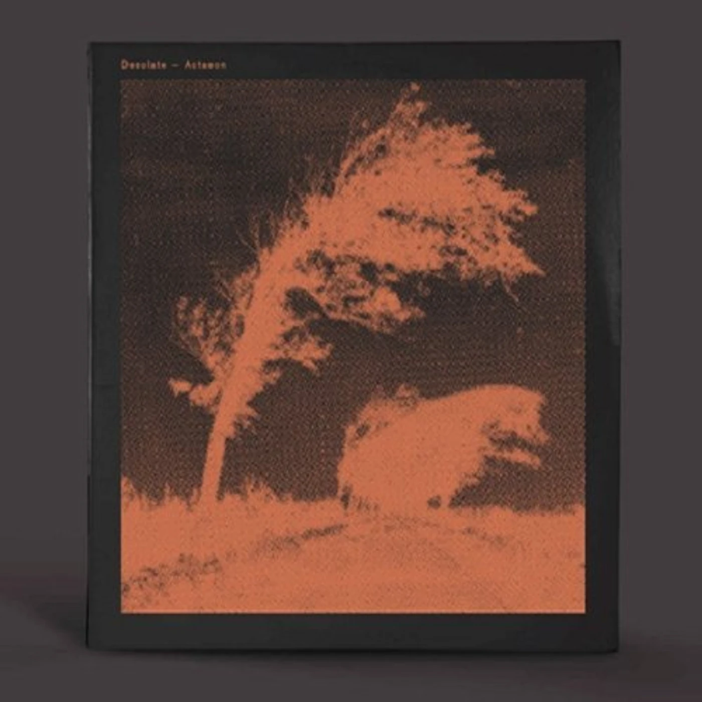 Desolate ACTAEON Vinyl Record