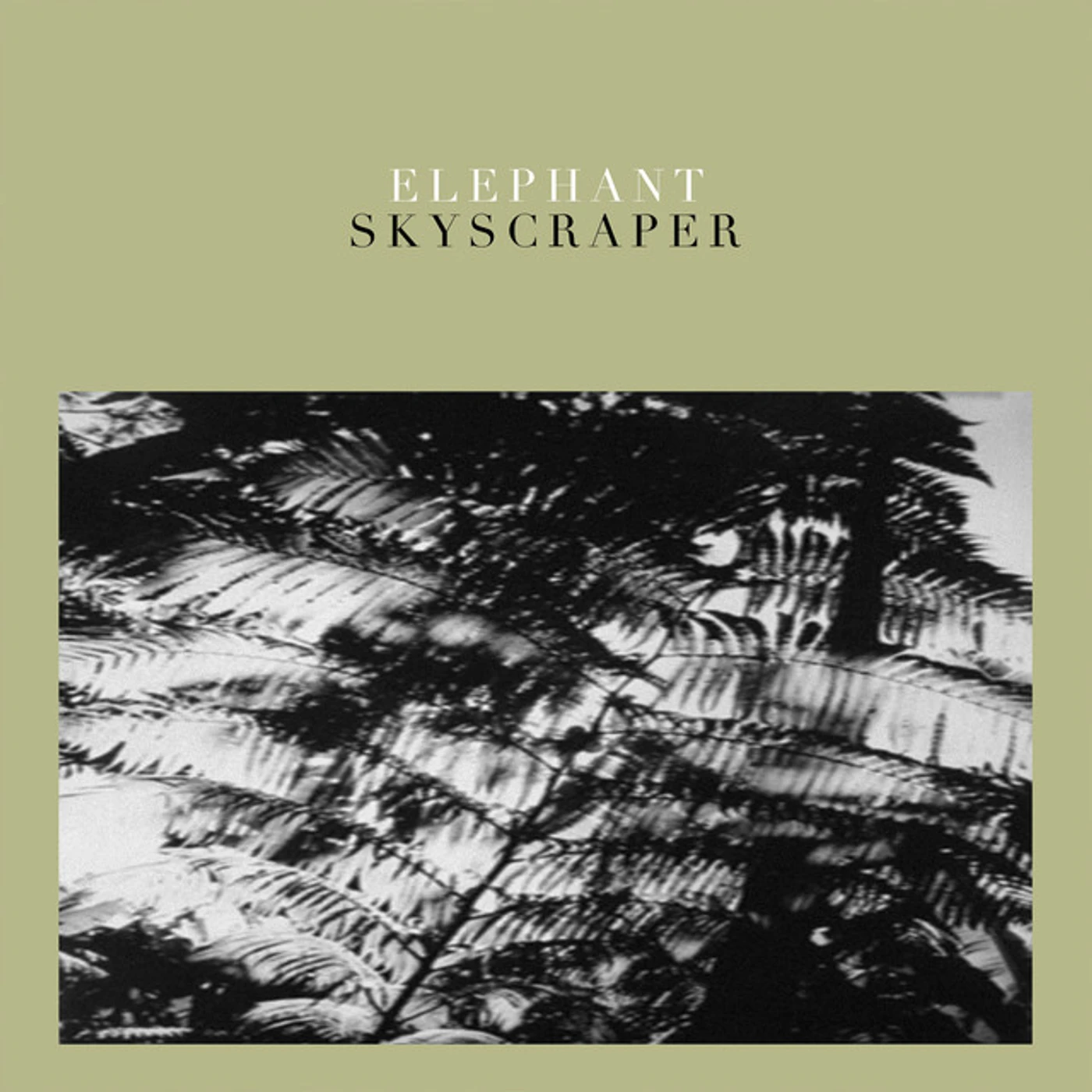 Elephant Skyscraper Vinyl Record