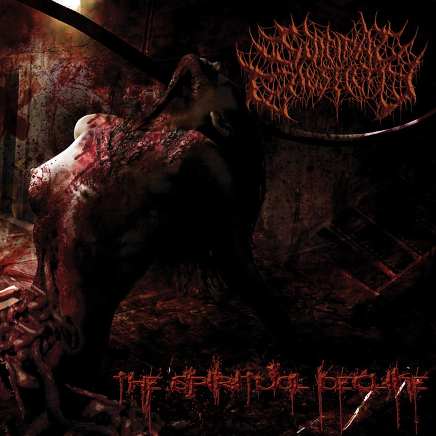 Suicidal Causticity SPIRITUAL DECLINE CD