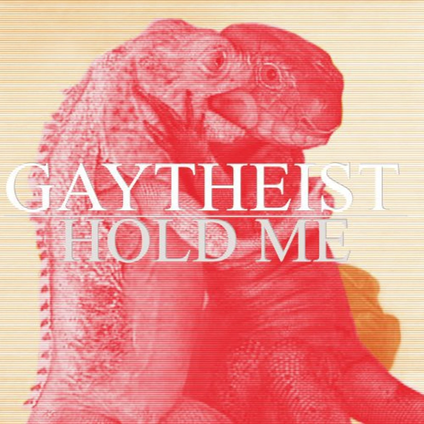 Gaytheist HOLD ME BUT NOT SO TIGHT Vinyl Record