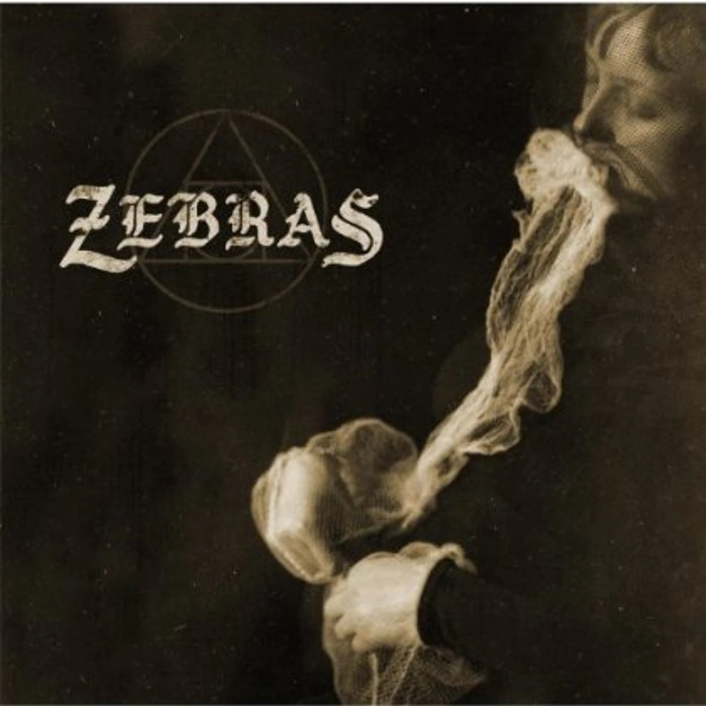 Zebras Vinyl Record