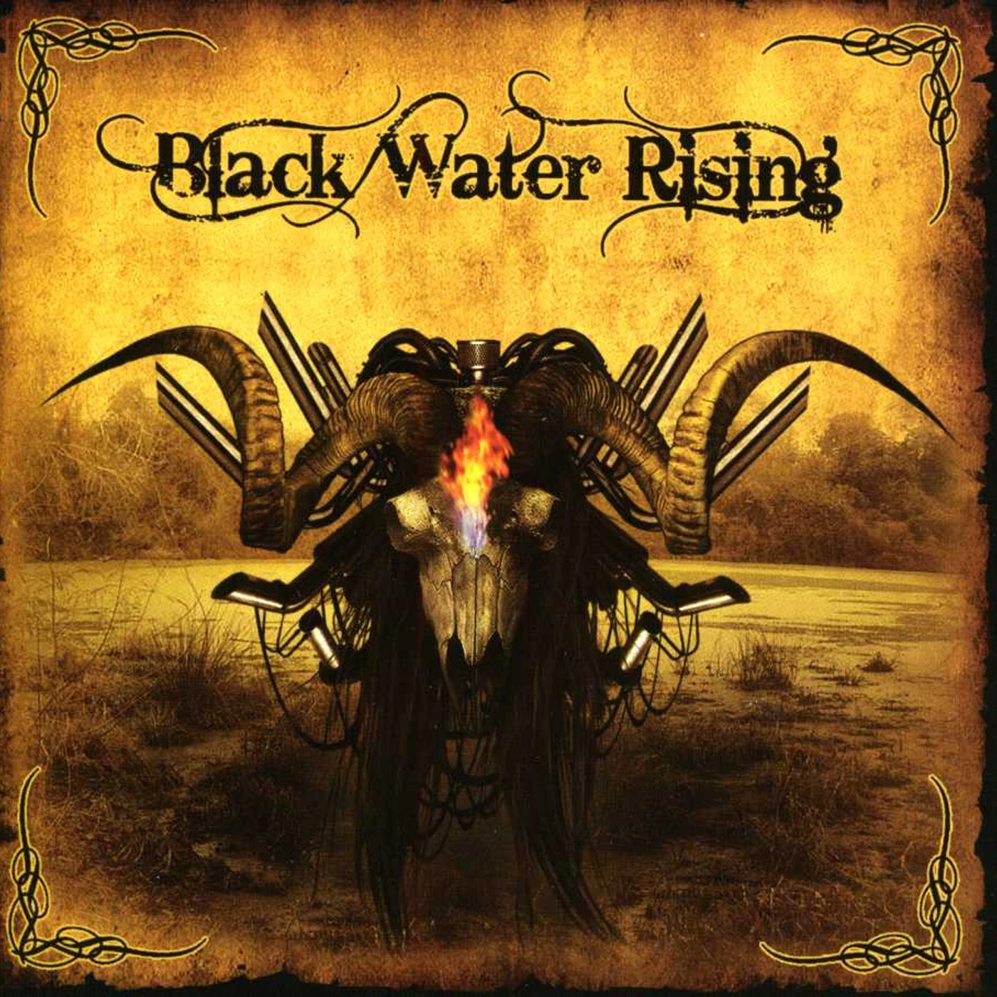 BLACK WATER RISING CD