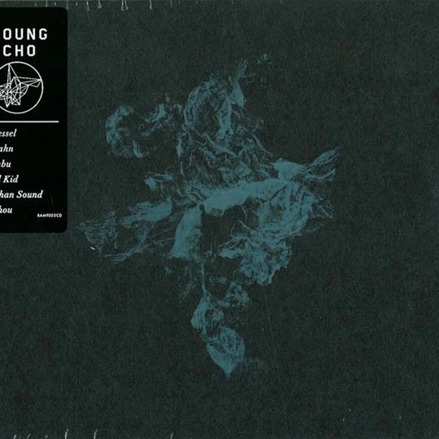 Young Echo Nexus Vinyl Record