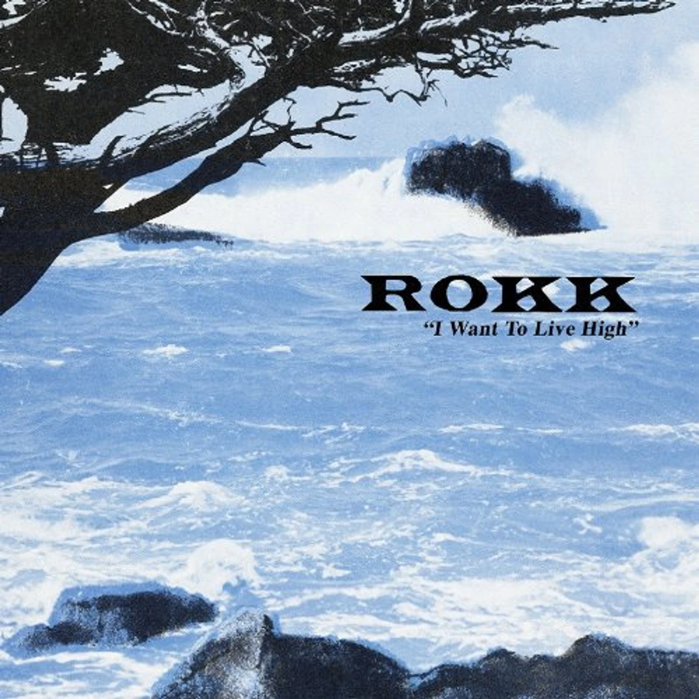 Rokk WANT TO LIVE HIGH Vinyl Record