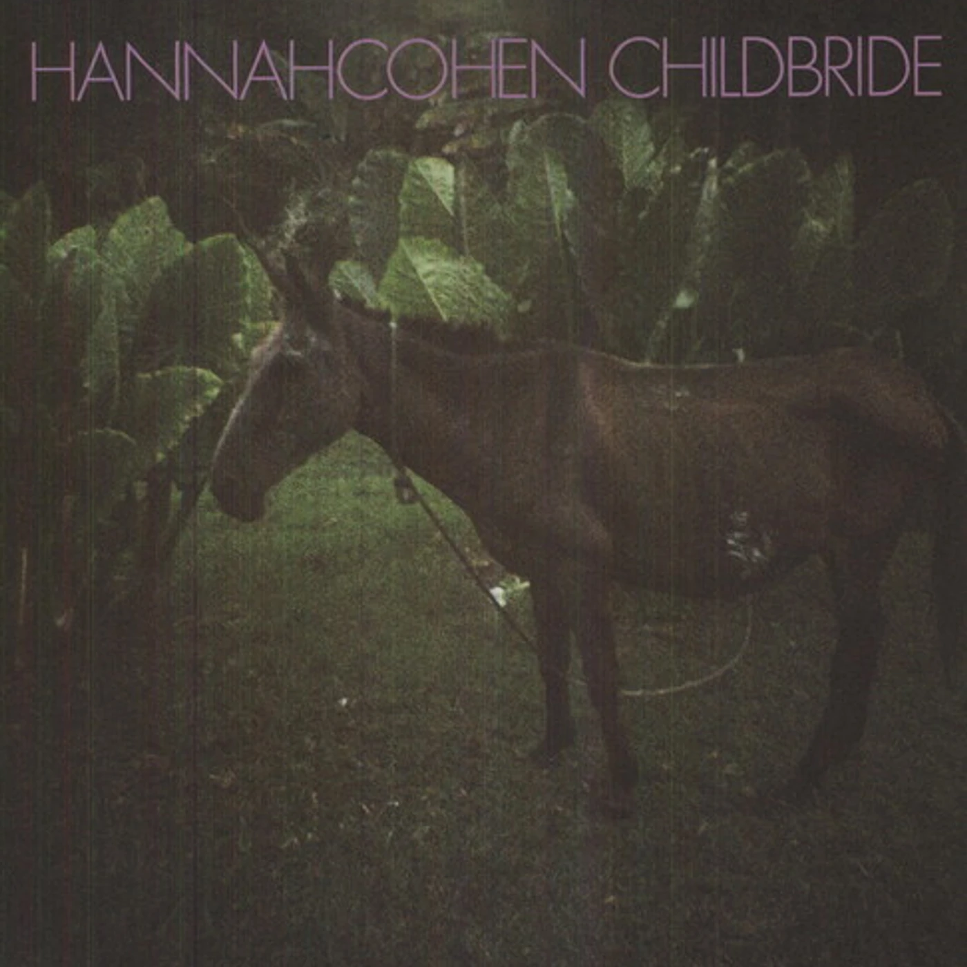 Hannah Cohen Child Bride Vinyl Record