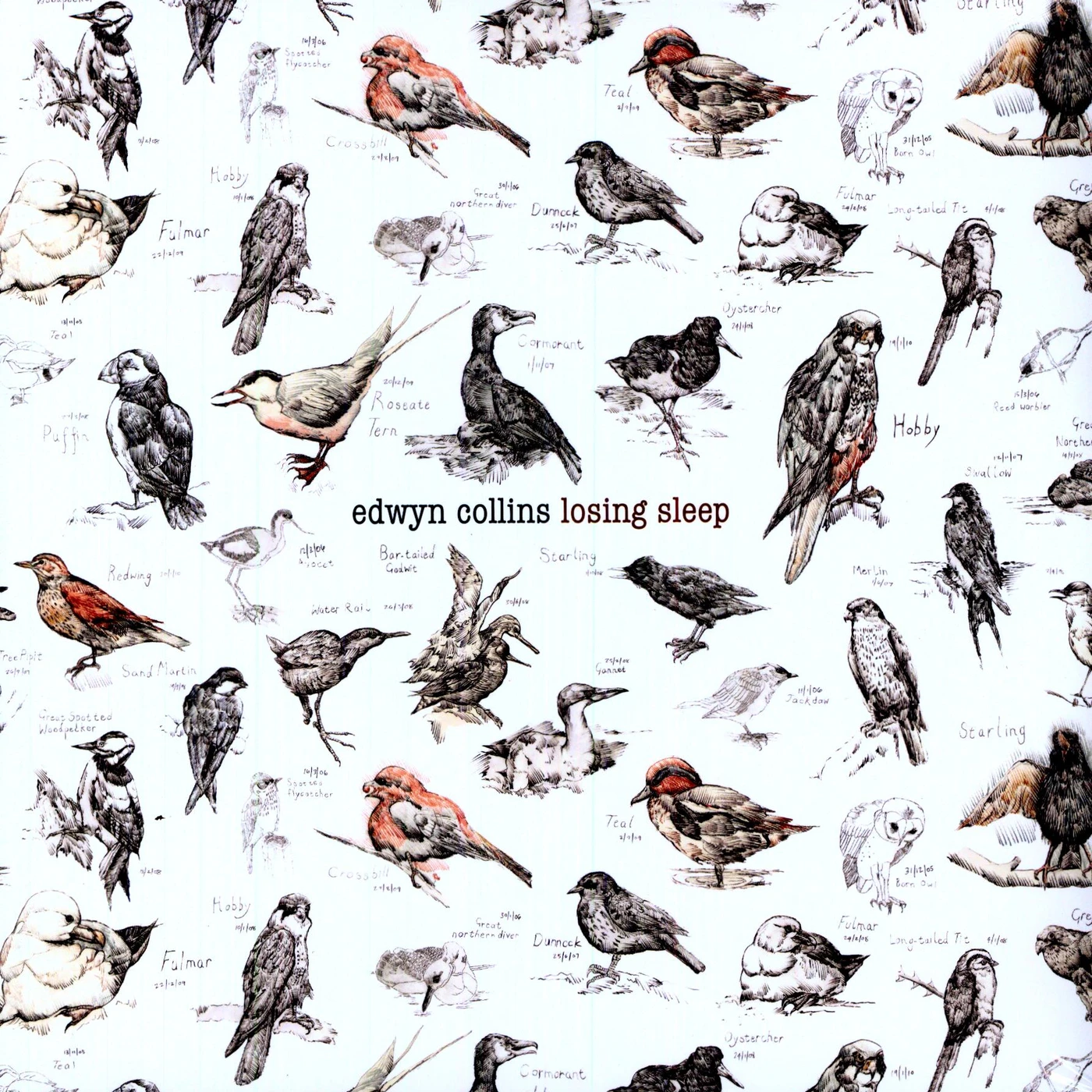 Edwyn Collins LOSING SLEEP (Vinyl)