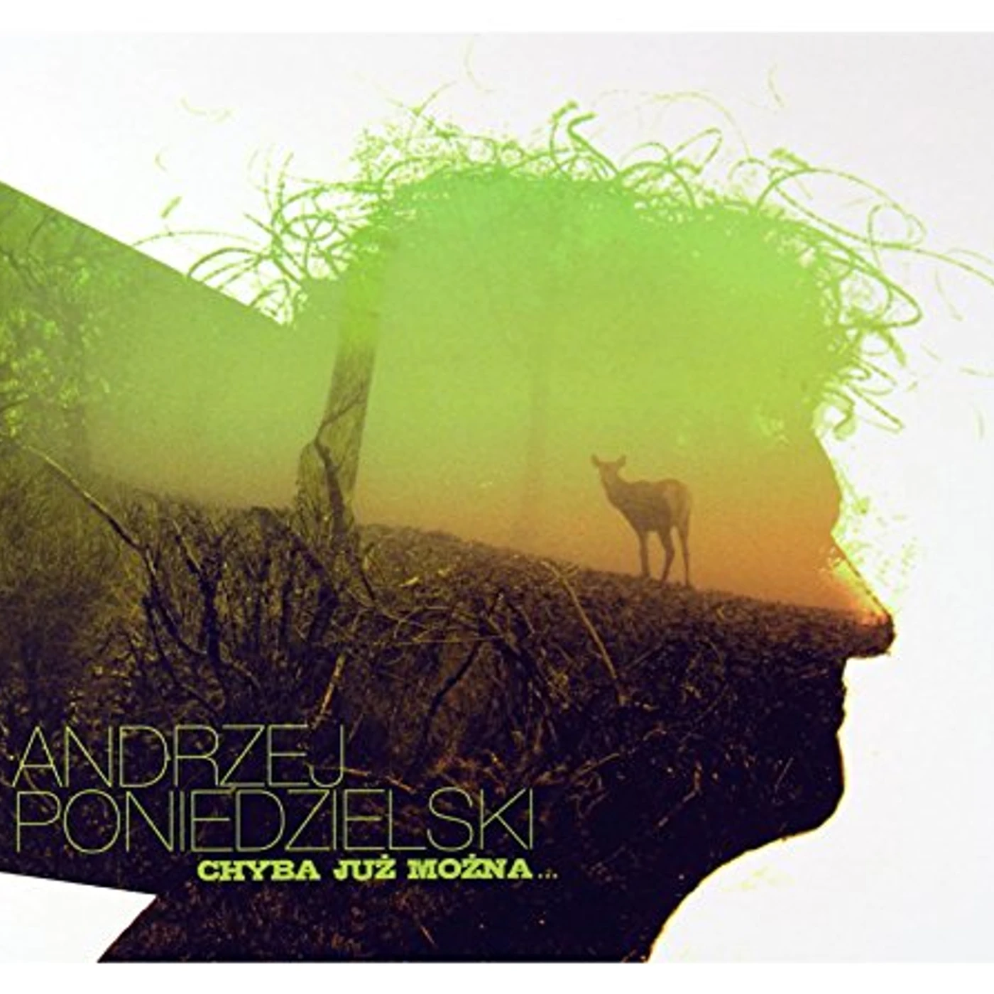 Andrzej Poniedzielski CHYBA JUZ MOZNA CD