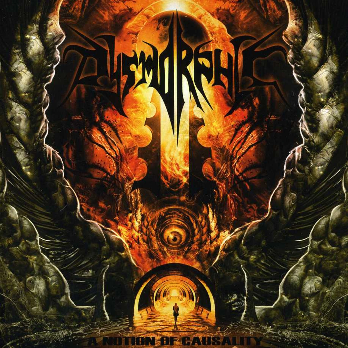 Dysmorphic NOTION OF CAUSALITY CD