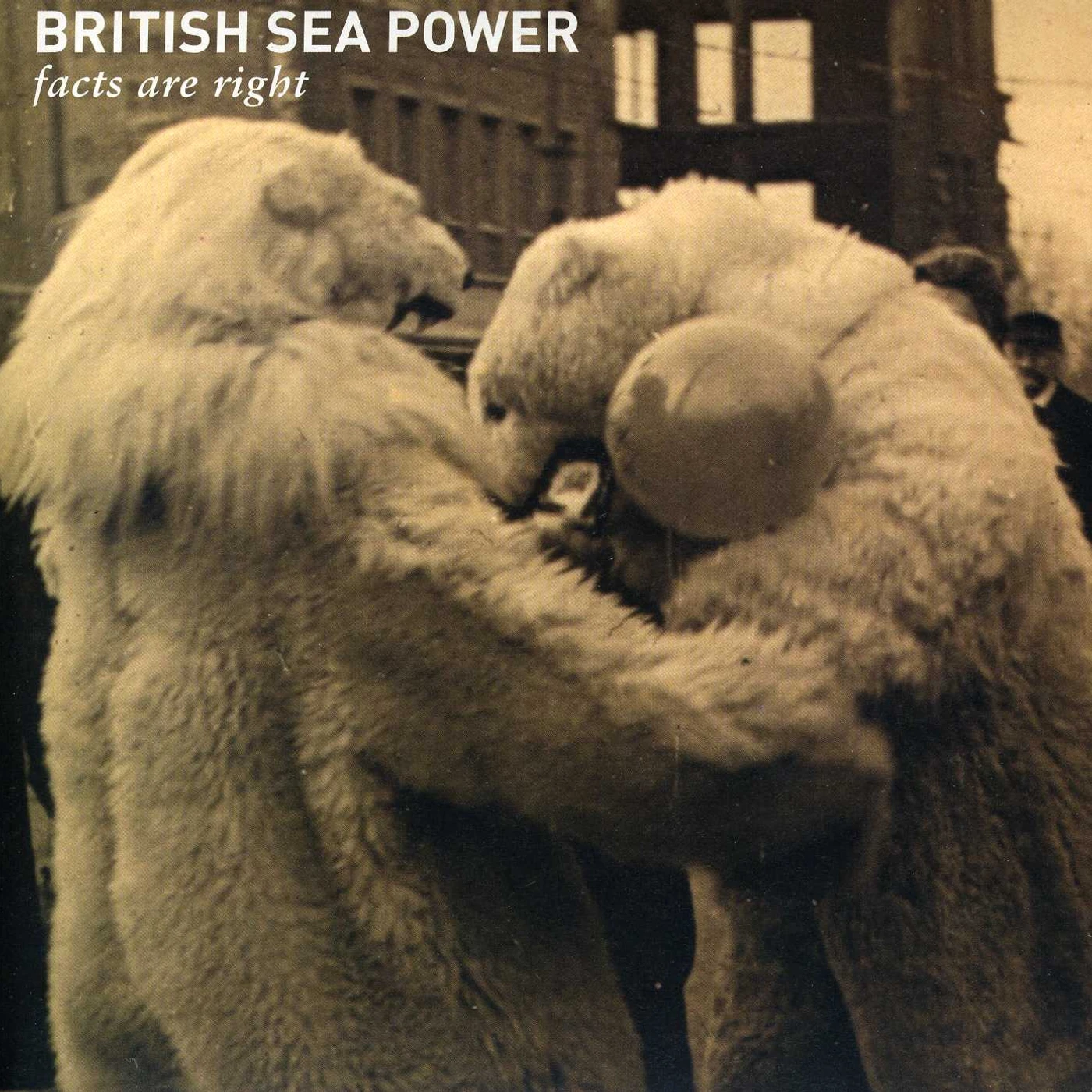 British Sea Power FACTS ARE RIGHT Vinyl Record
