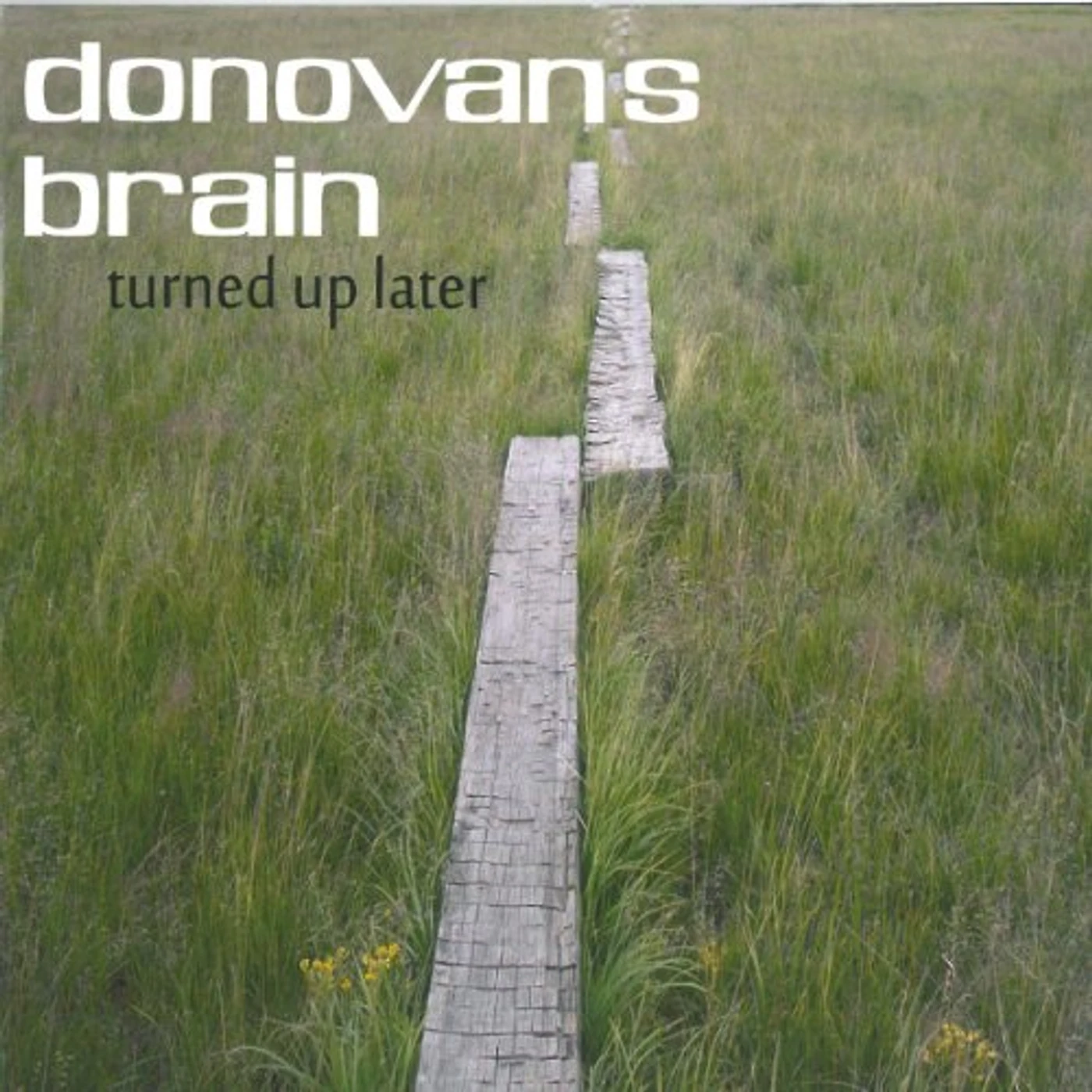 Donovan's Brain Turned Up Later Vinyl Record