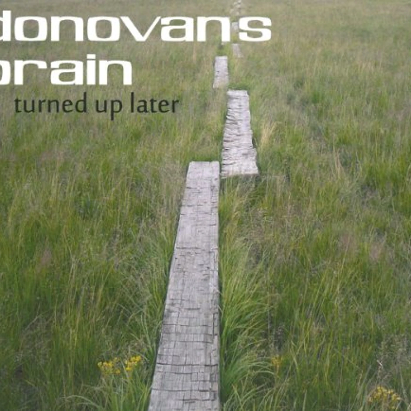 Donovan's Brain TURNED UP LATER CD