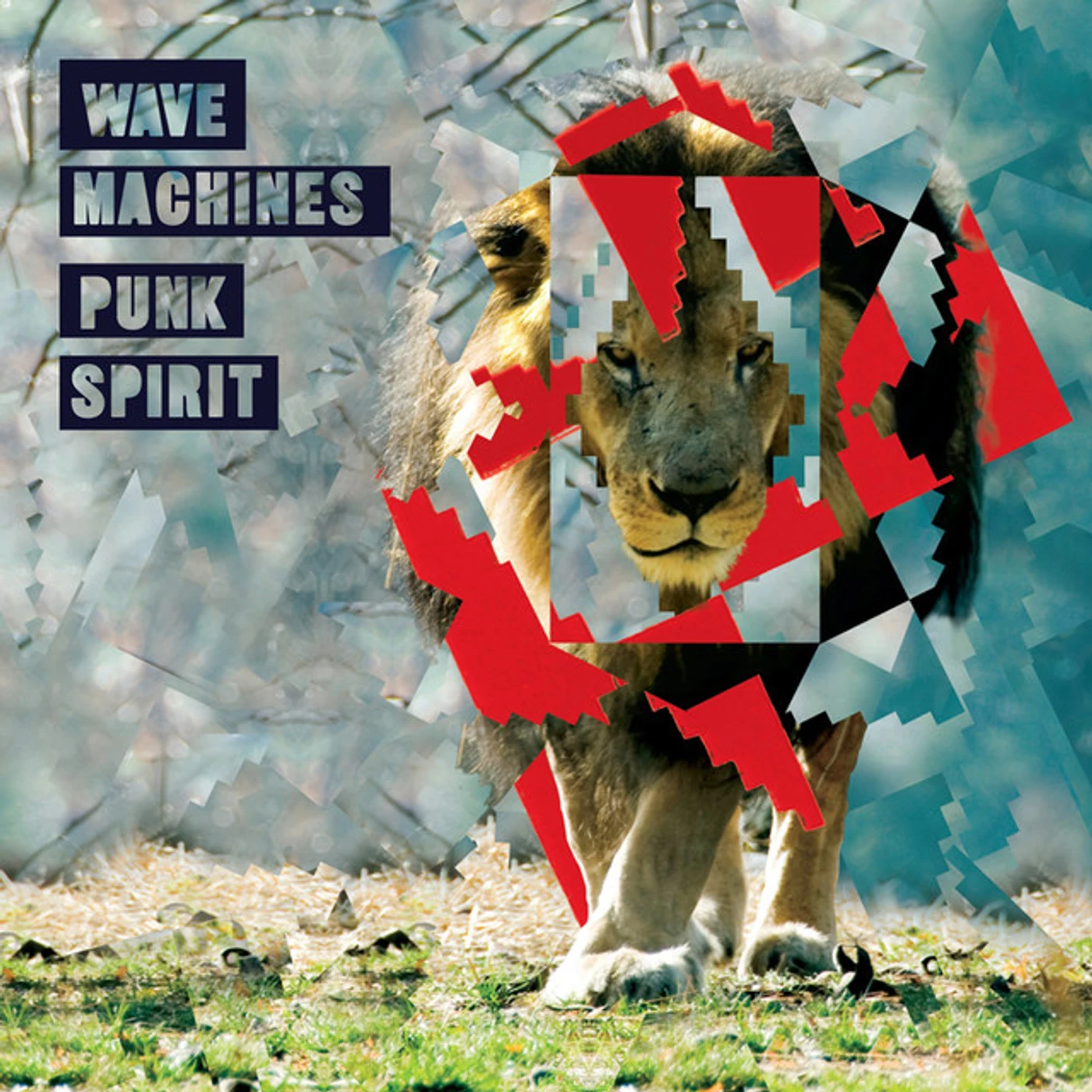 Wave Machines Punk Spirit Vinyl Record