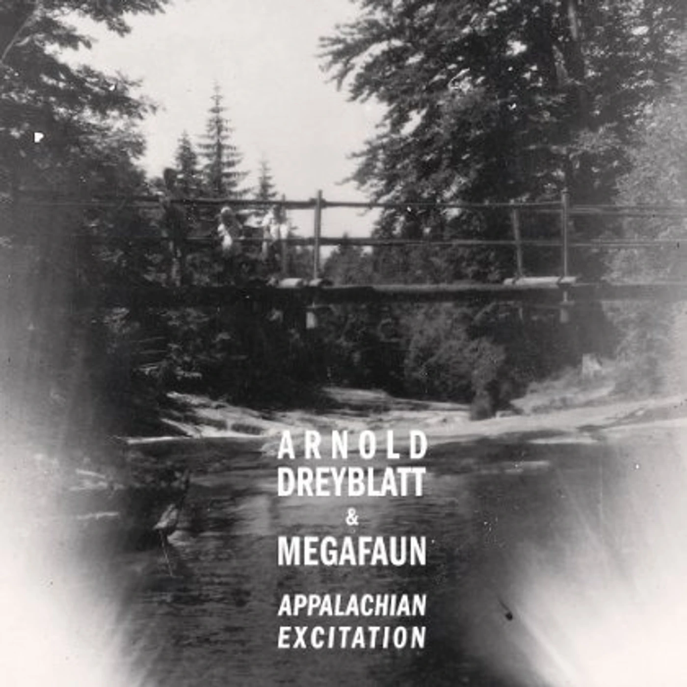 Arnold Dreyblatt APPALACHIAN EXCITATION CD