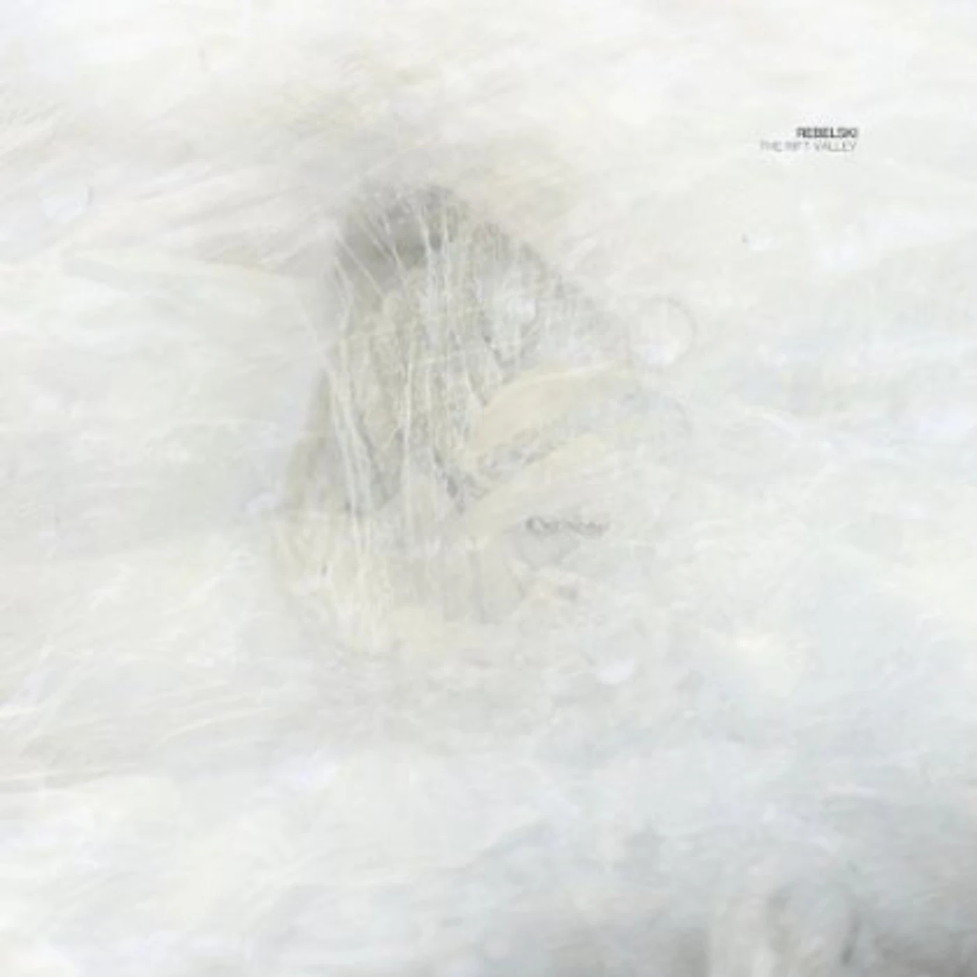 Rebelski RIFT VALLEY Vinyl Record