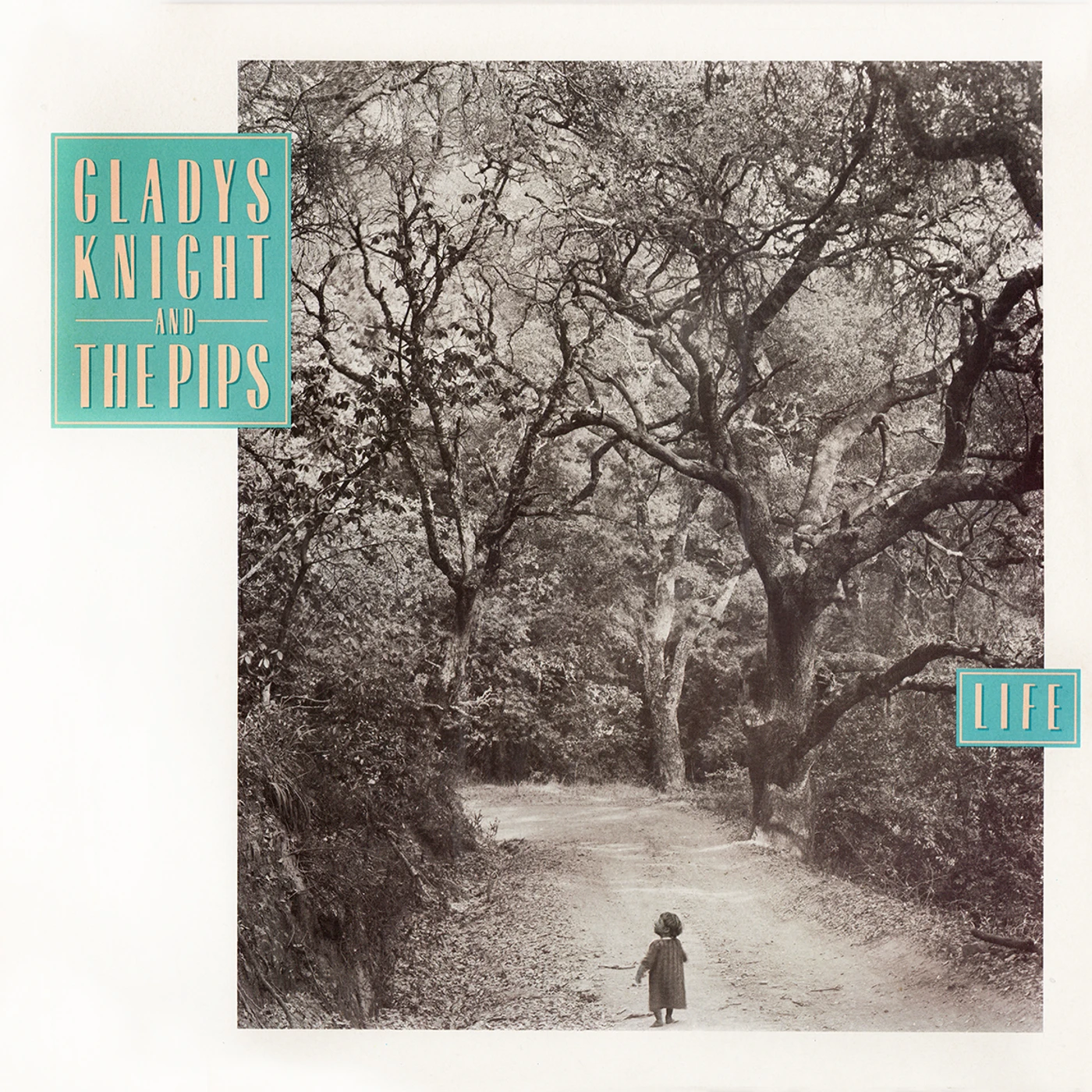 Gladys Knight & The Pips LIFE CD