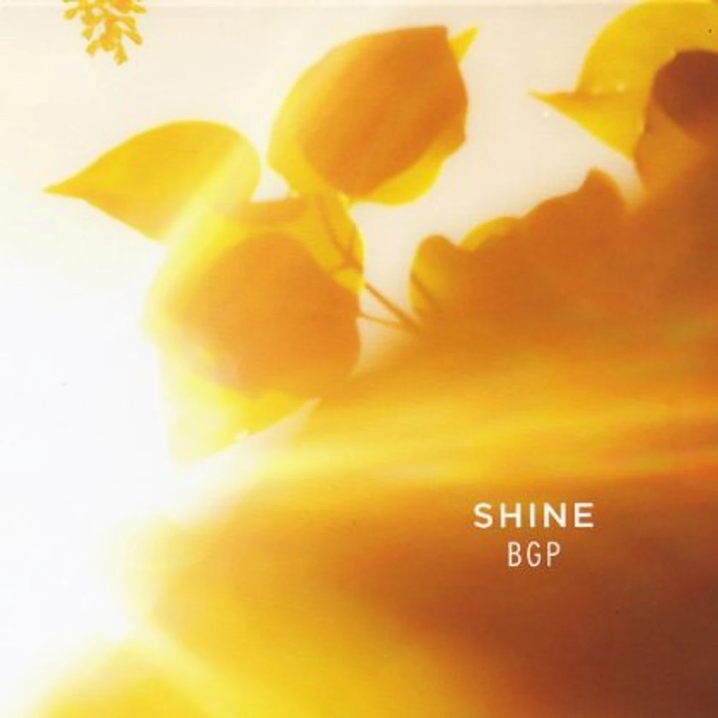 Bluegrass Gospel Project SHINE CD