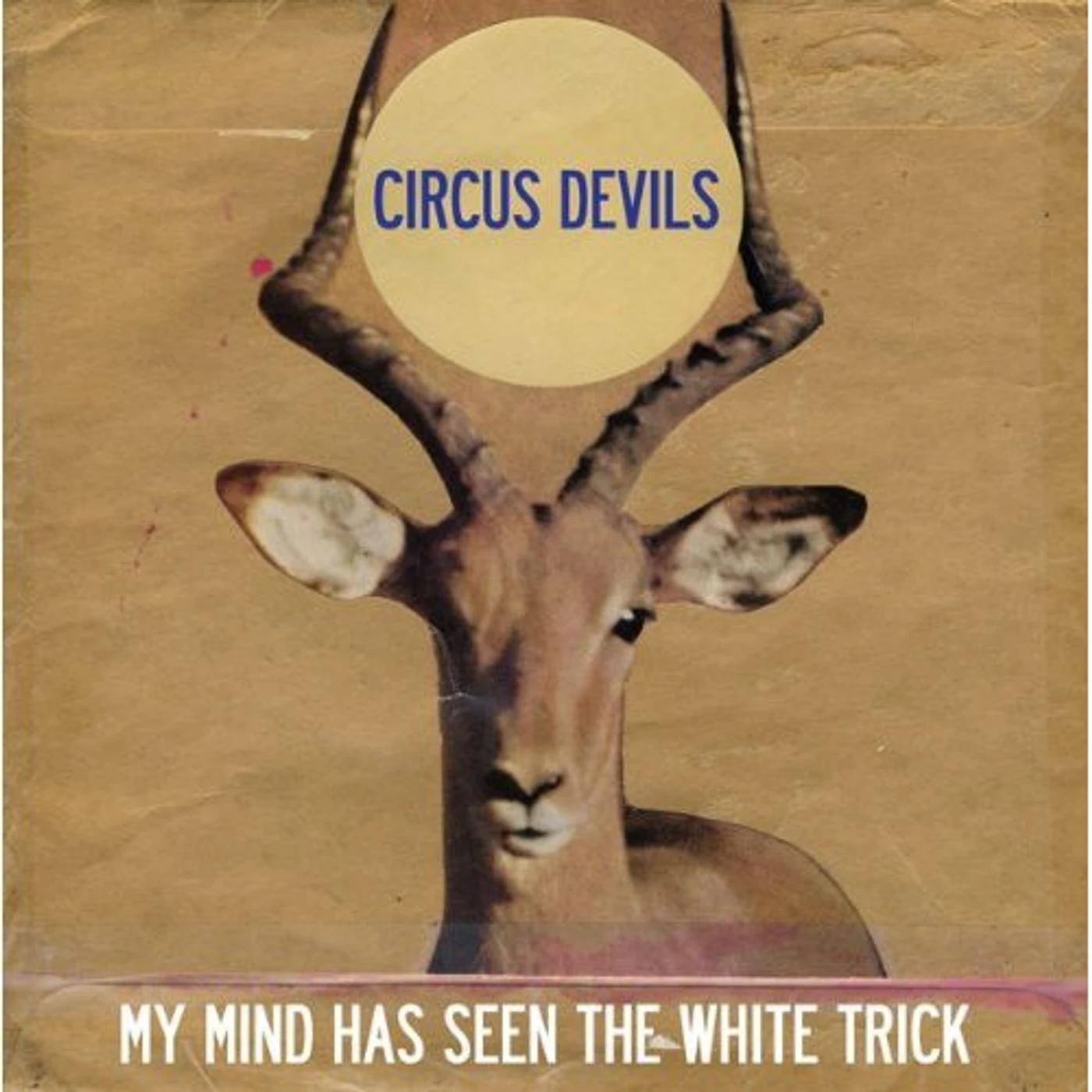 Circus Devils MY MIND HAS SEEN THE WHITE TRICK CD